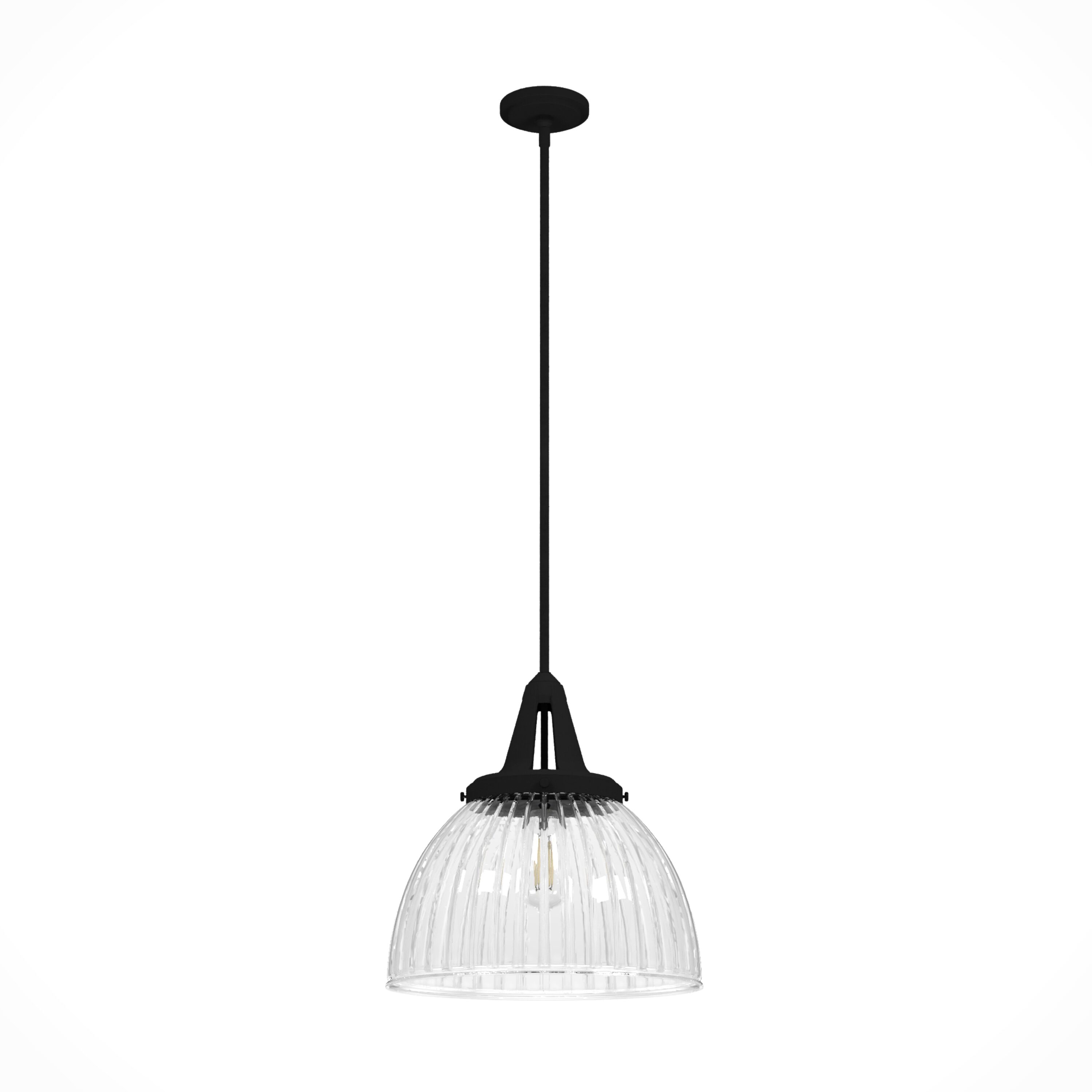 Hunter 19251 Cypress Grove 1 -Light Natural Iron Transitional Clear glass Dome Medium Hanging Pendant light