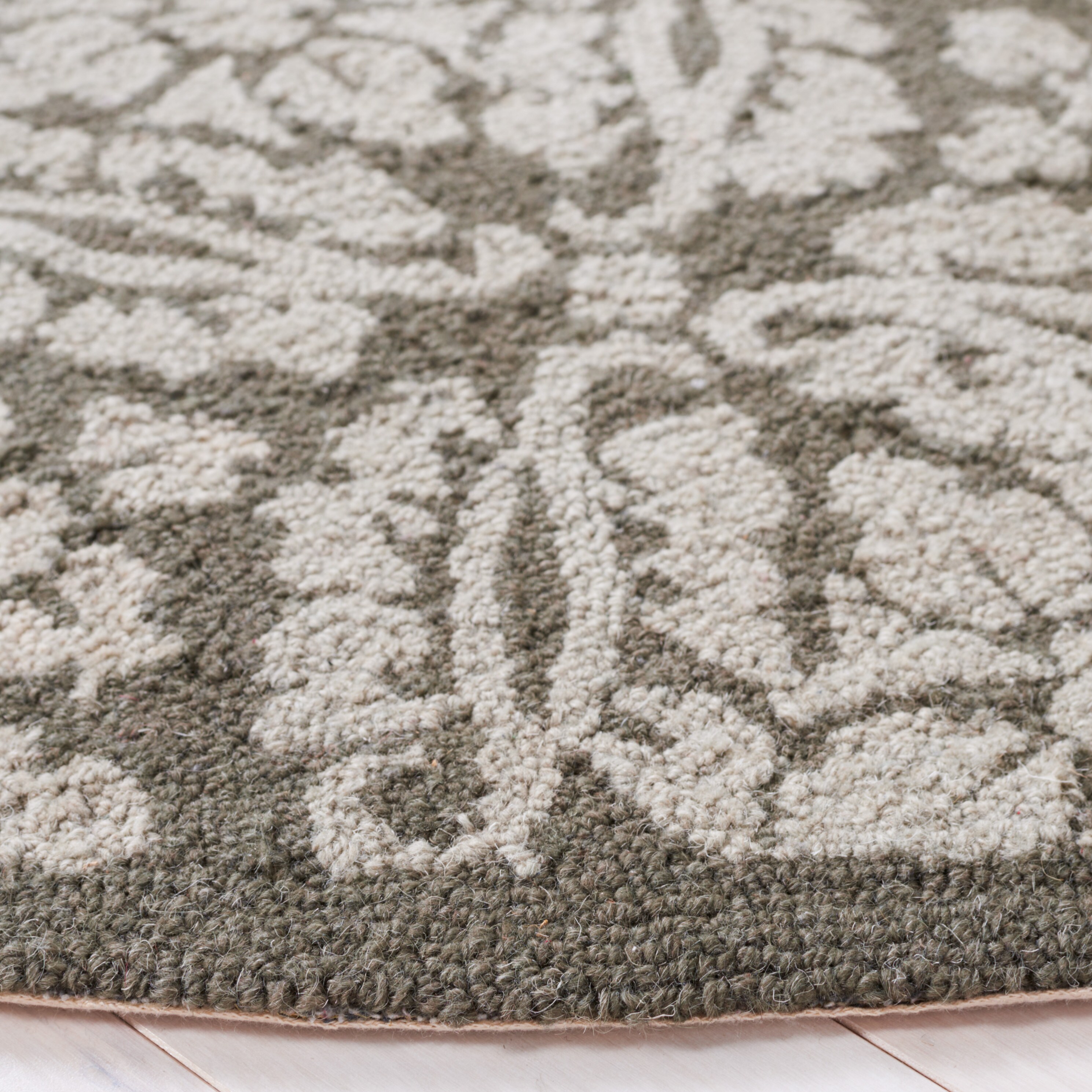 Safavieh HK723B-5R rugs - View #3