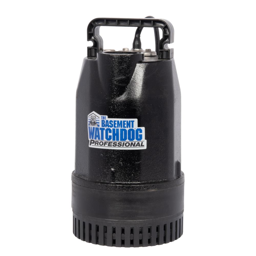 Basement Watchdog CITS-50 pumps - View #3