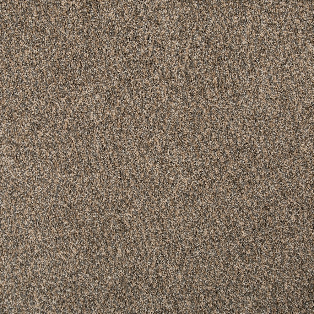 STAINMASTER SS033-L006-0808 (Sample) Calming Caress I Harmony Brown 35-oz sq yard Solution-dyed Polyester Textured Indoor Carpet