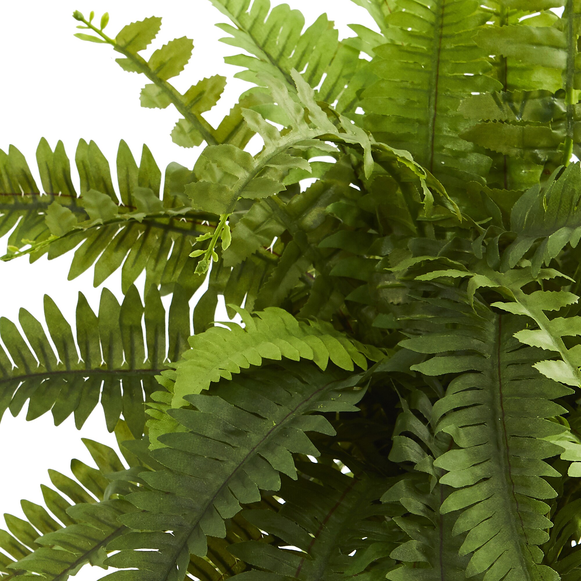Nearly Natural 8157 Artificial-Plants-Trees - View #2