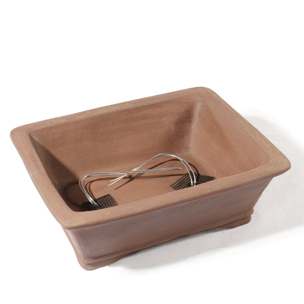 Brussel's Bonsai 9.7-in W x 3.4-in H Brown Ceramic Planter | CUPO3-12