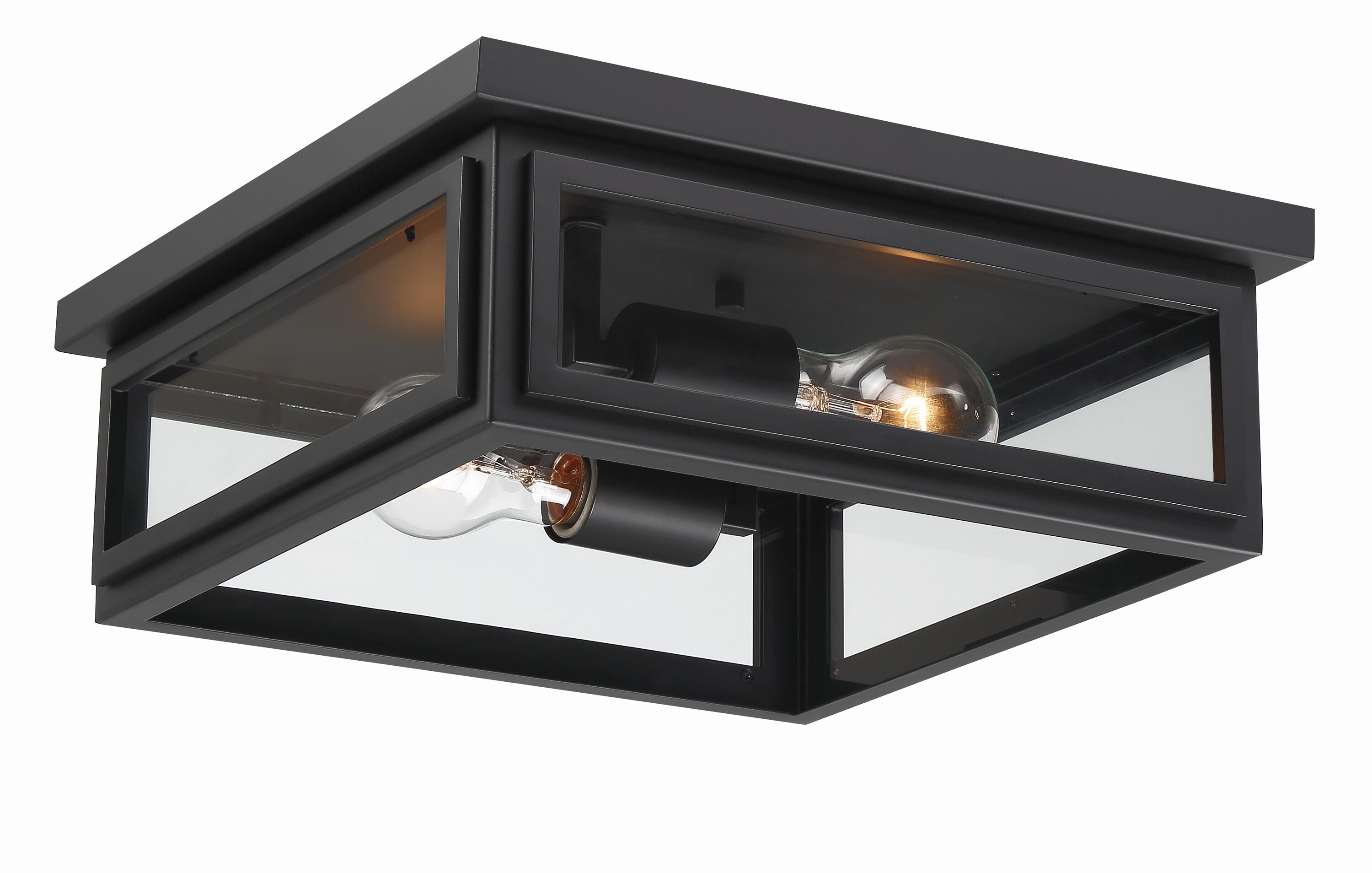Matte Black and Clear Glass 2-Light Outdoor Flush Mount