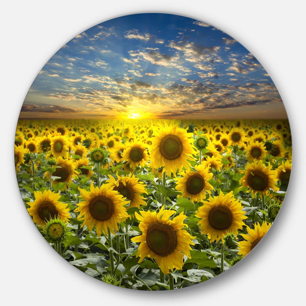 Designart MT11651-C23 23-Inches H x 23-Inches W Landscape Metal Print