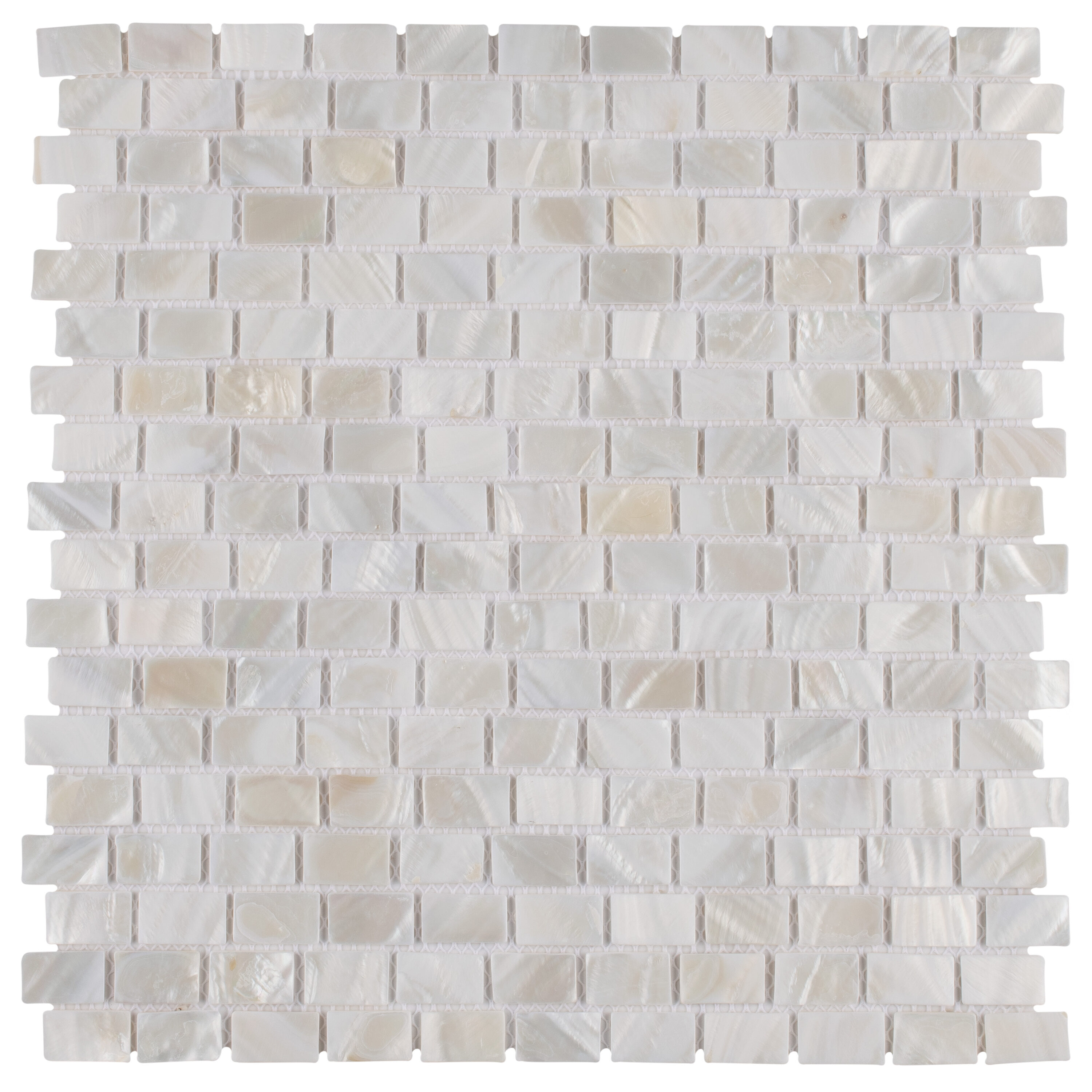 Affinity Tile Conchella Subway White 12-in x 12-in Glossy Natural Shell ...