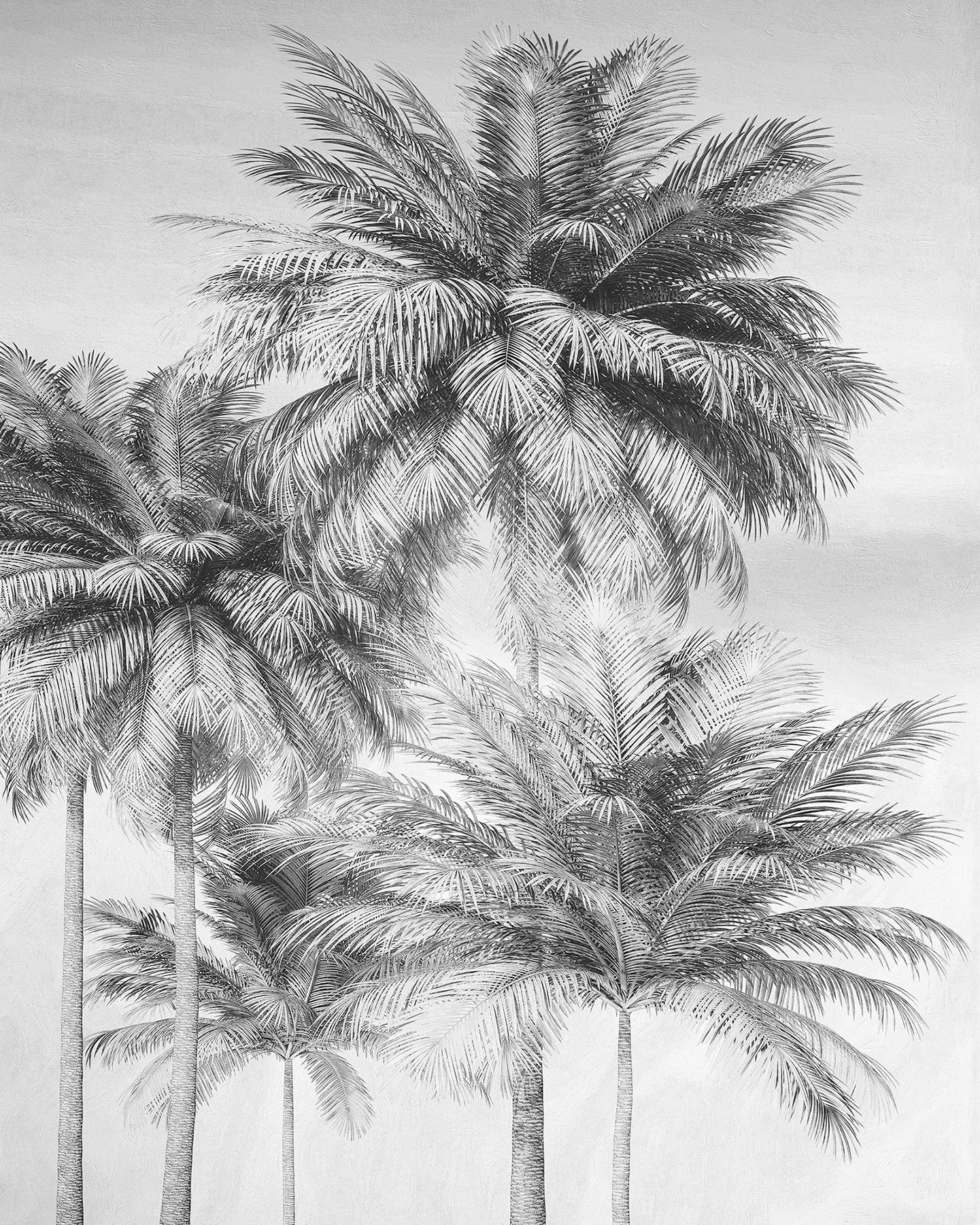 Komar X4-1019 Overcast Palm Wall Mural
