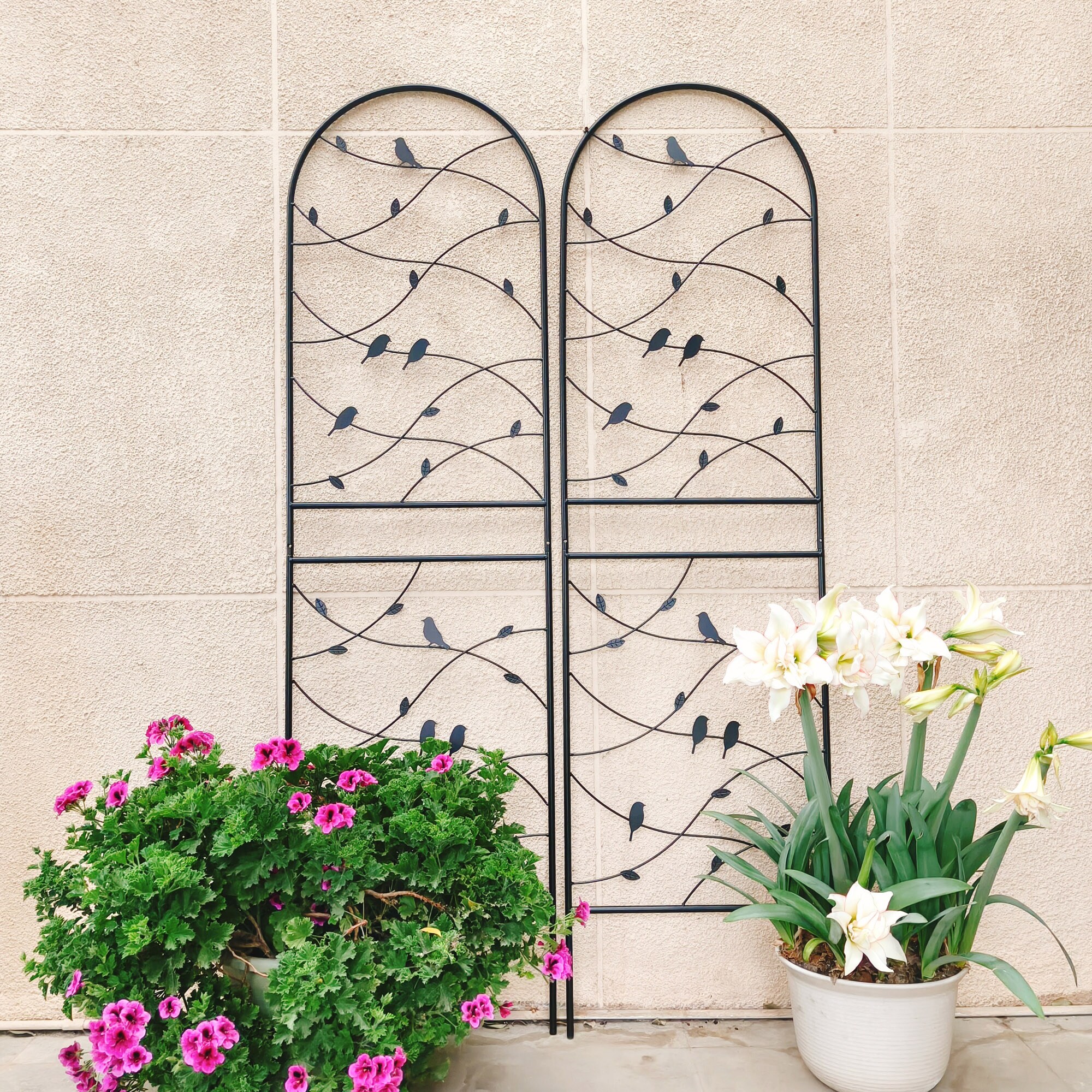 Wooakway FXLS0609-604A128 Garden-Trellis - View #4