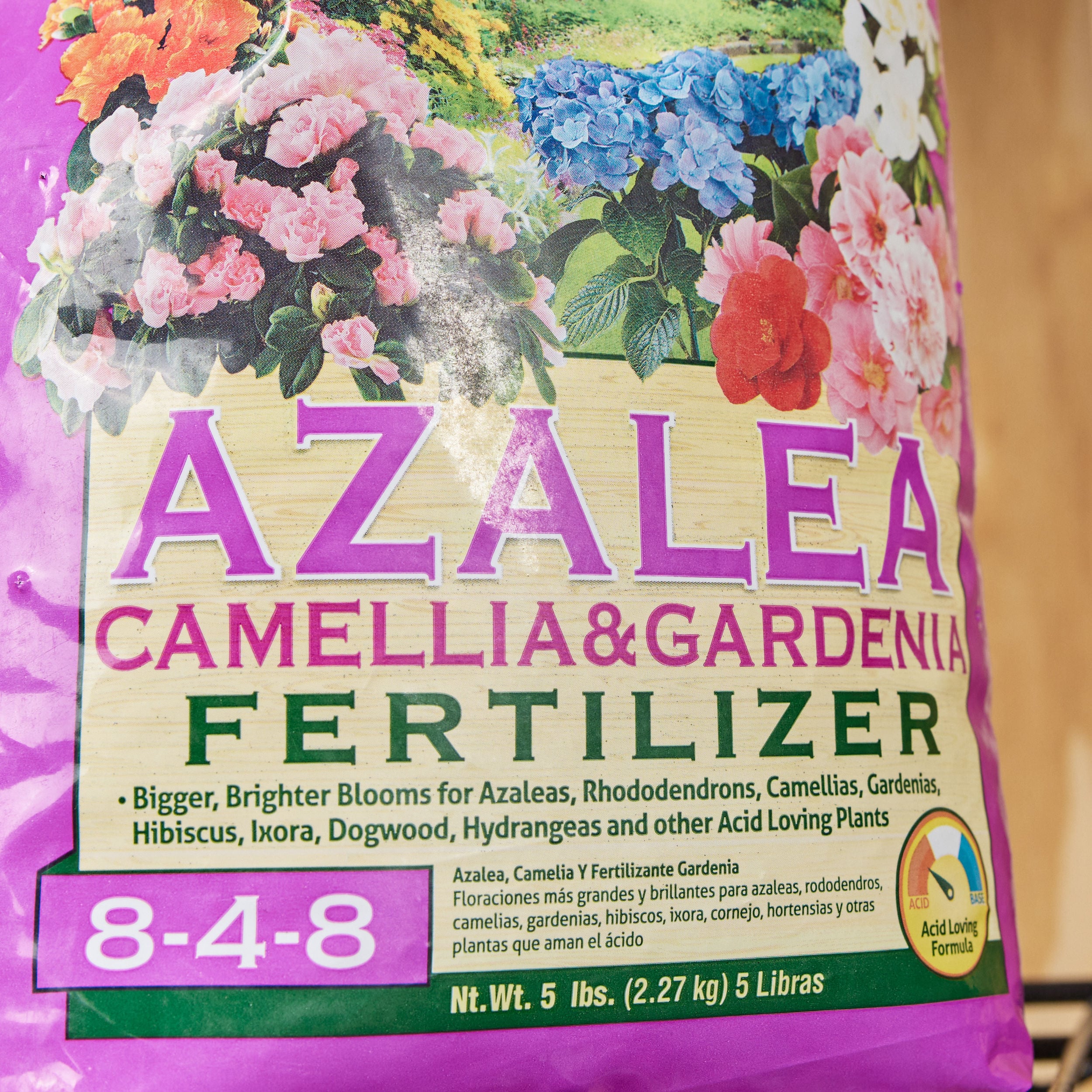 Azalea and camellia fertilizer Plant Food at 