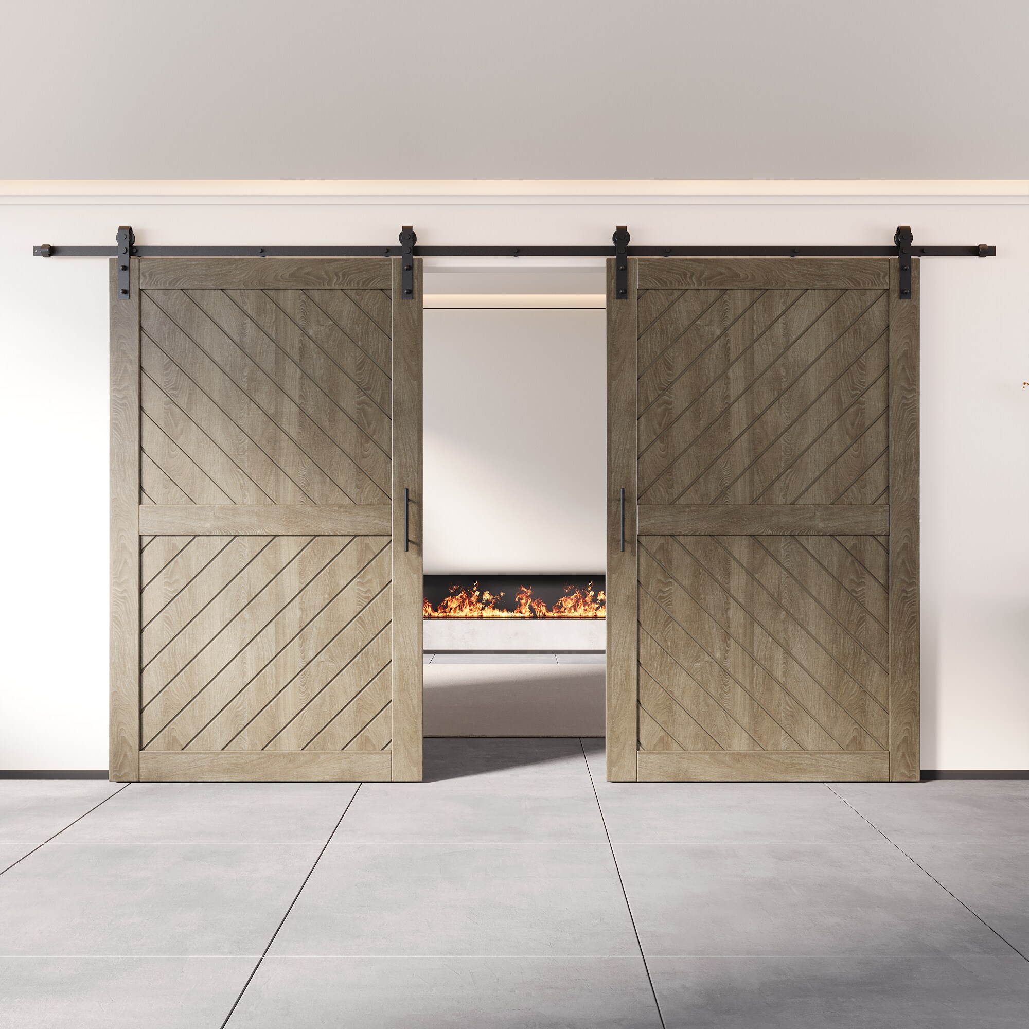 HOMACER YT2H216C-XT4-4880-GR Barn-Doors - View #8