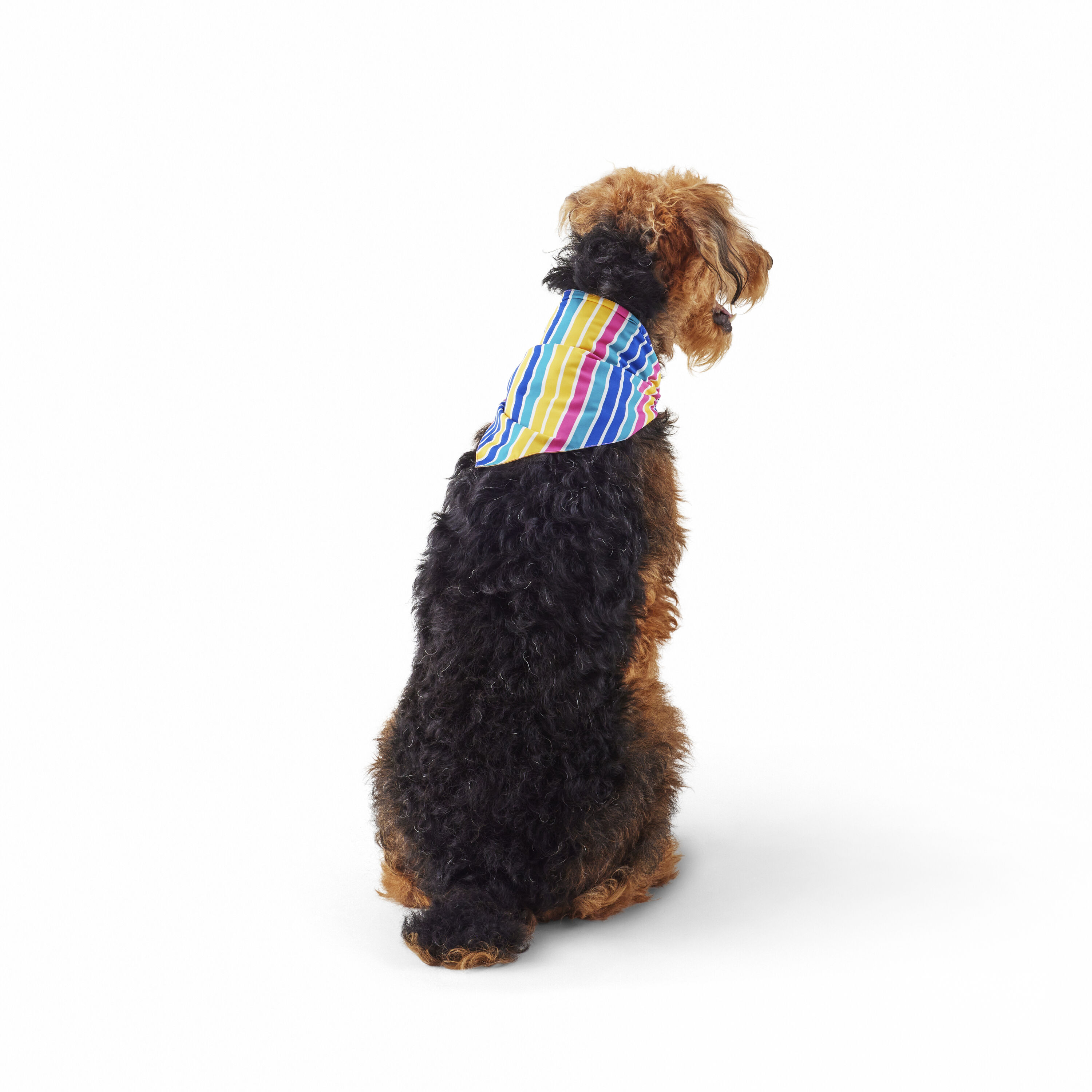 Heart & Herd YB26103 Dog-Clothing-Acc - View #6