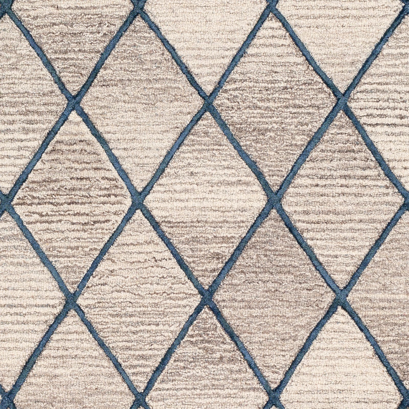 Handmade Blue Wool and Viscose Tufted 8' x 10' Area Rug
