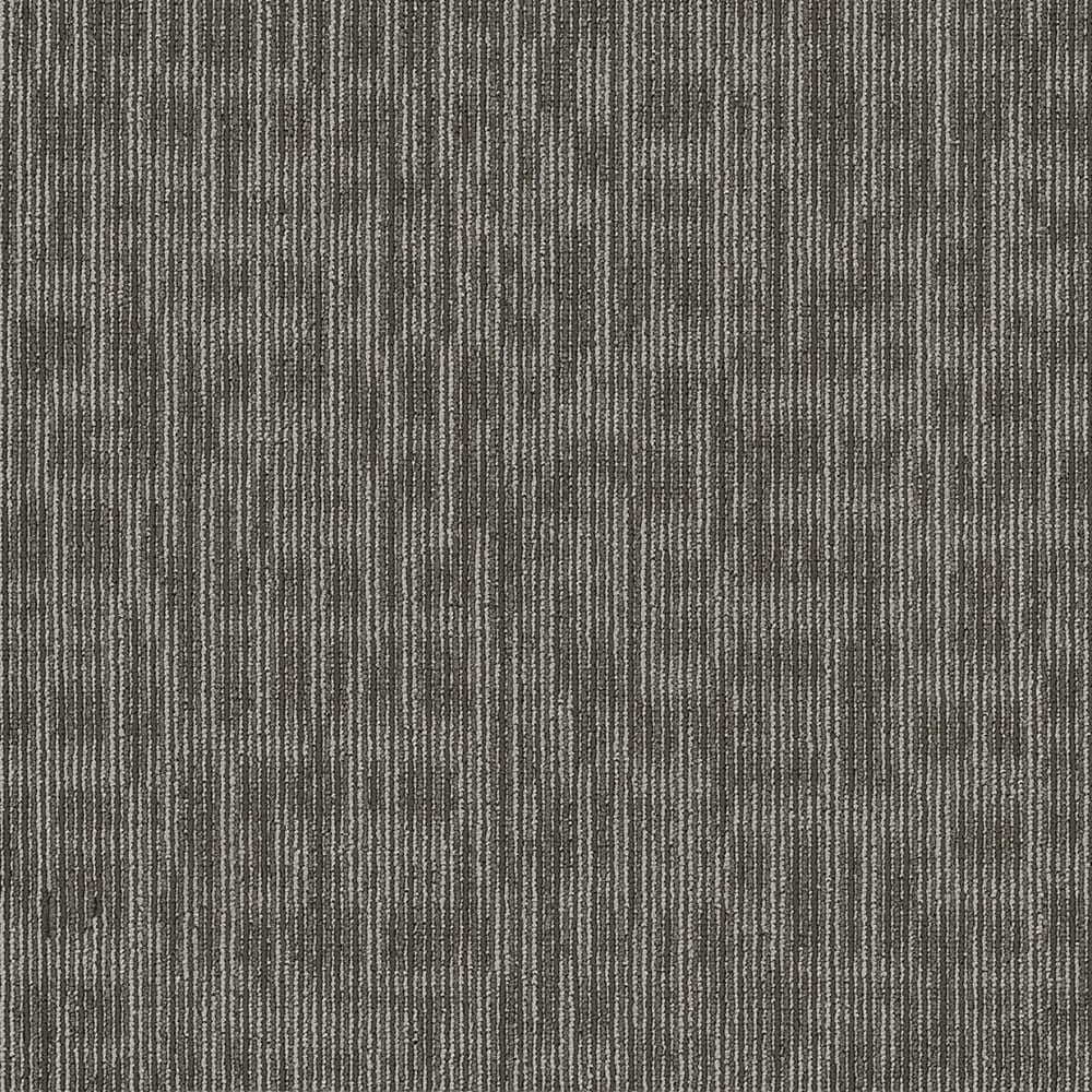 Shaw 7L80944710 Whiz Kid 24-in x 24-in Smarts Brown Commercial Adhesive Indoor Carpet Tile ( 80-sq ft )