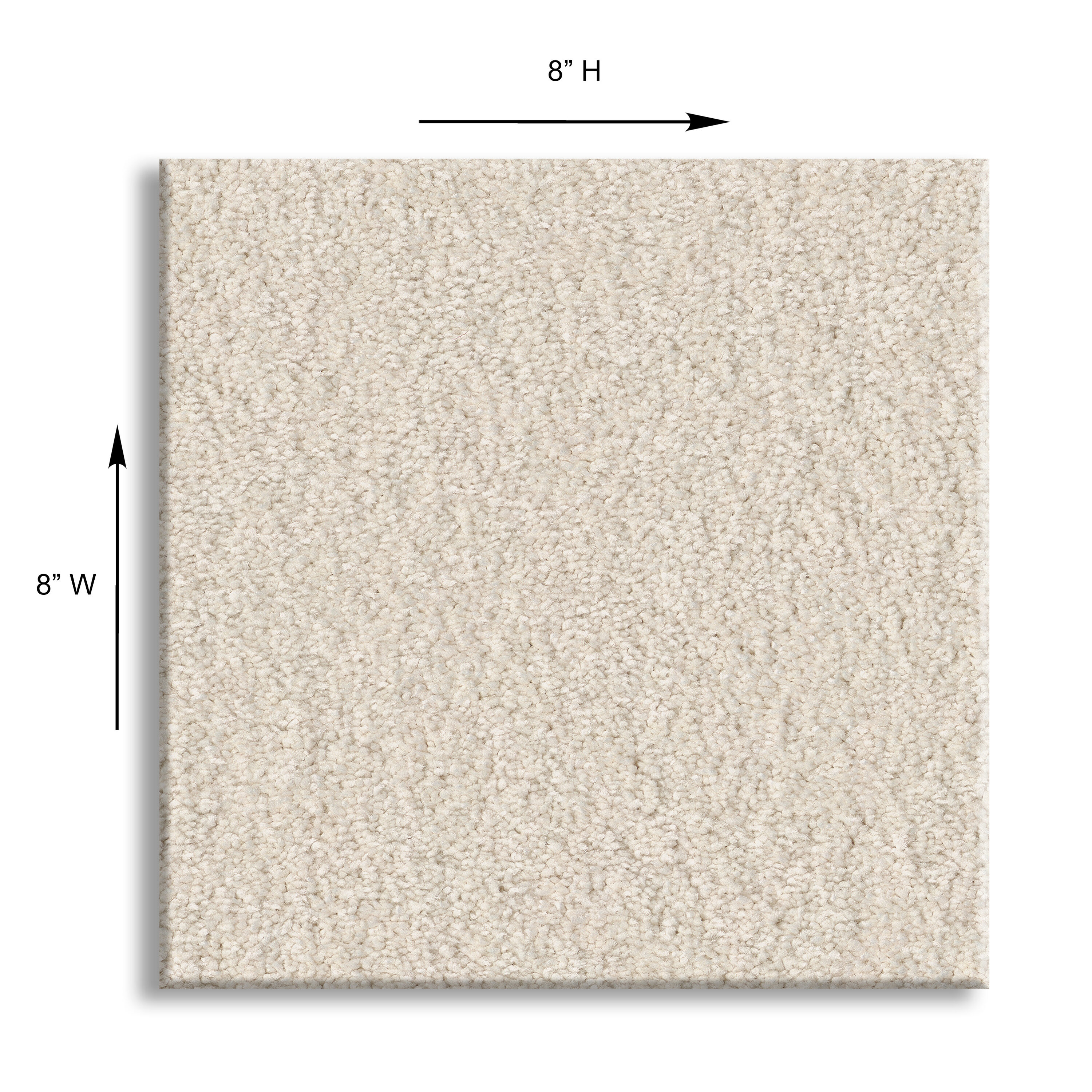 STAINMASTER 7L870 - 108 - SAMP Carpet-Samples - View #4
