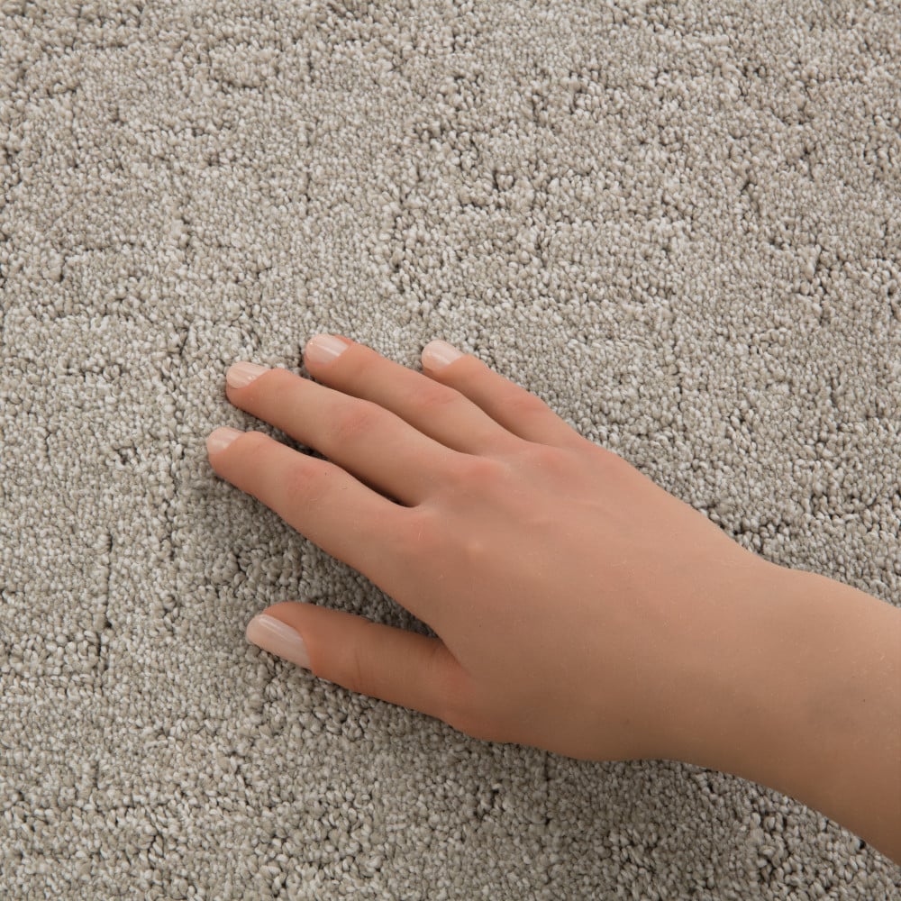 STAINMASTER PetProtect 7L945-124-SAMP Carpet-Samples - View #4