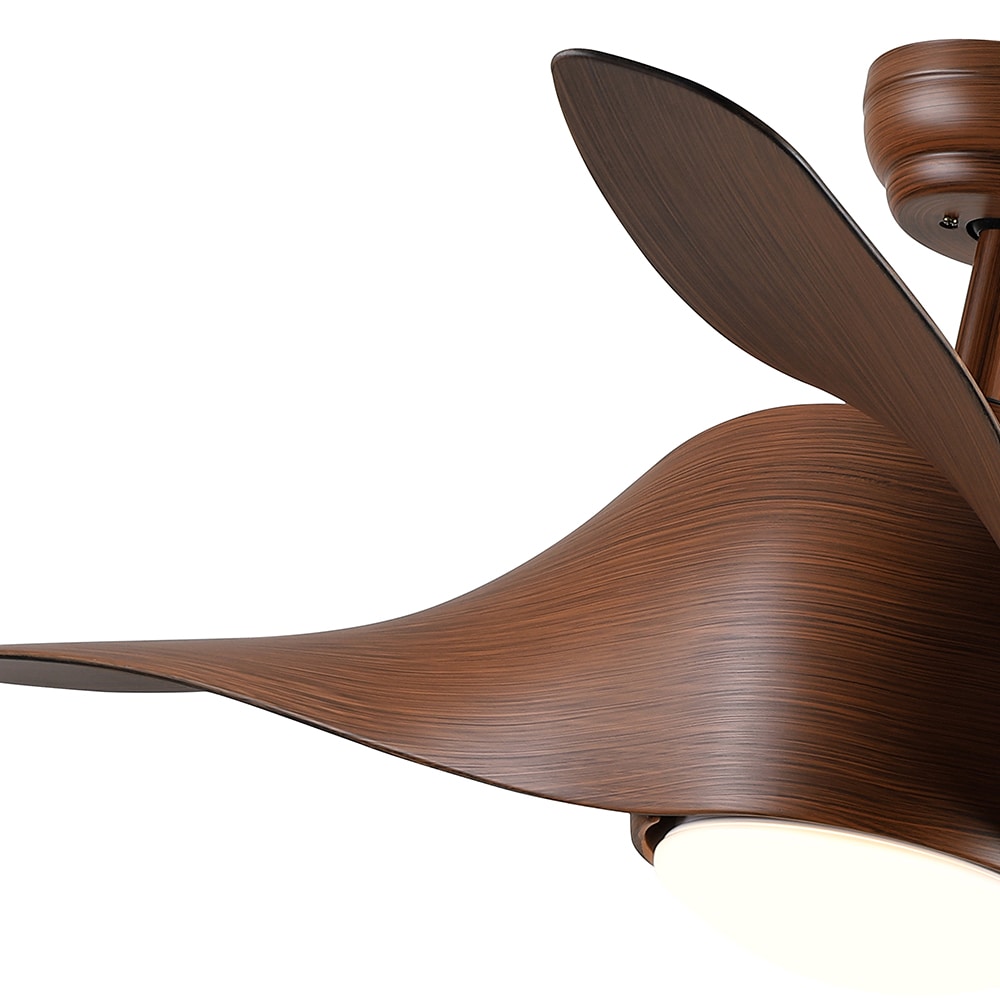 Sunrinx CF-35-DS Ceiling-Fans - View #3