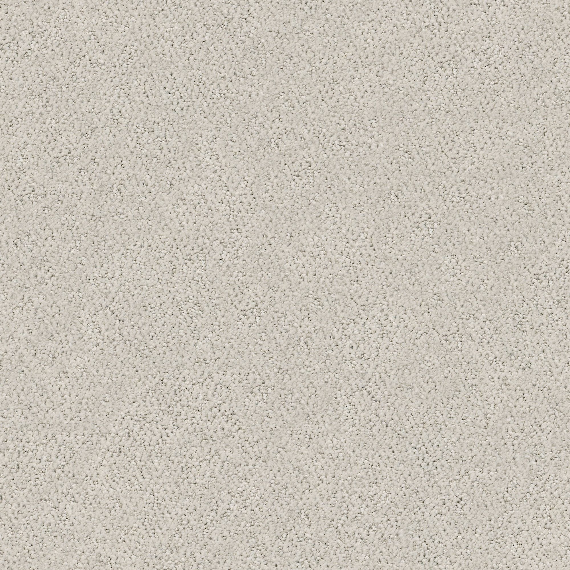 STAINMASTER PetProtect 7L88400501 Happy Tails Haze Gray 29.2-oz sq yard Nylon Pattern Indoor Carpet