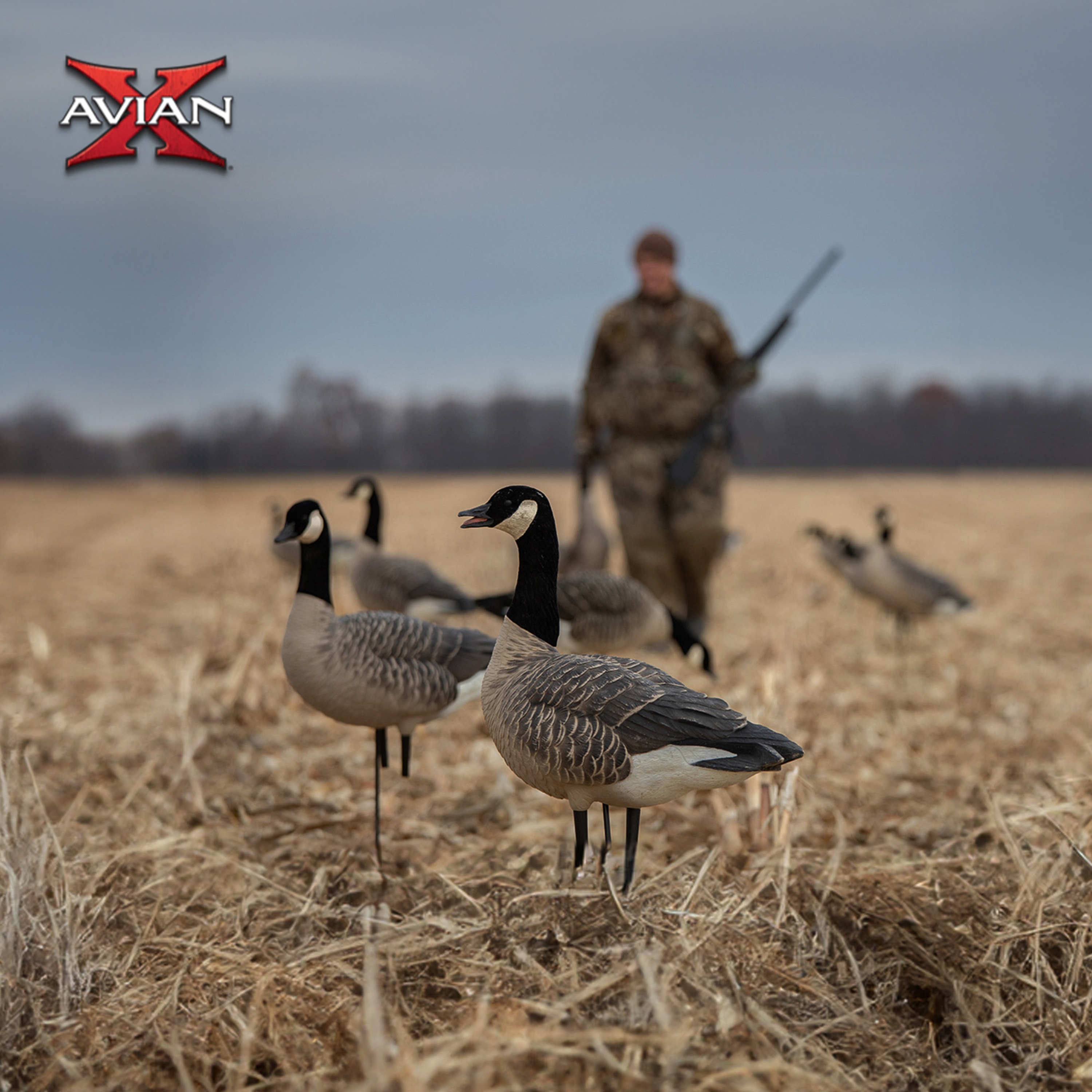  Avian X 408564 Hunting-Equipment - View #7