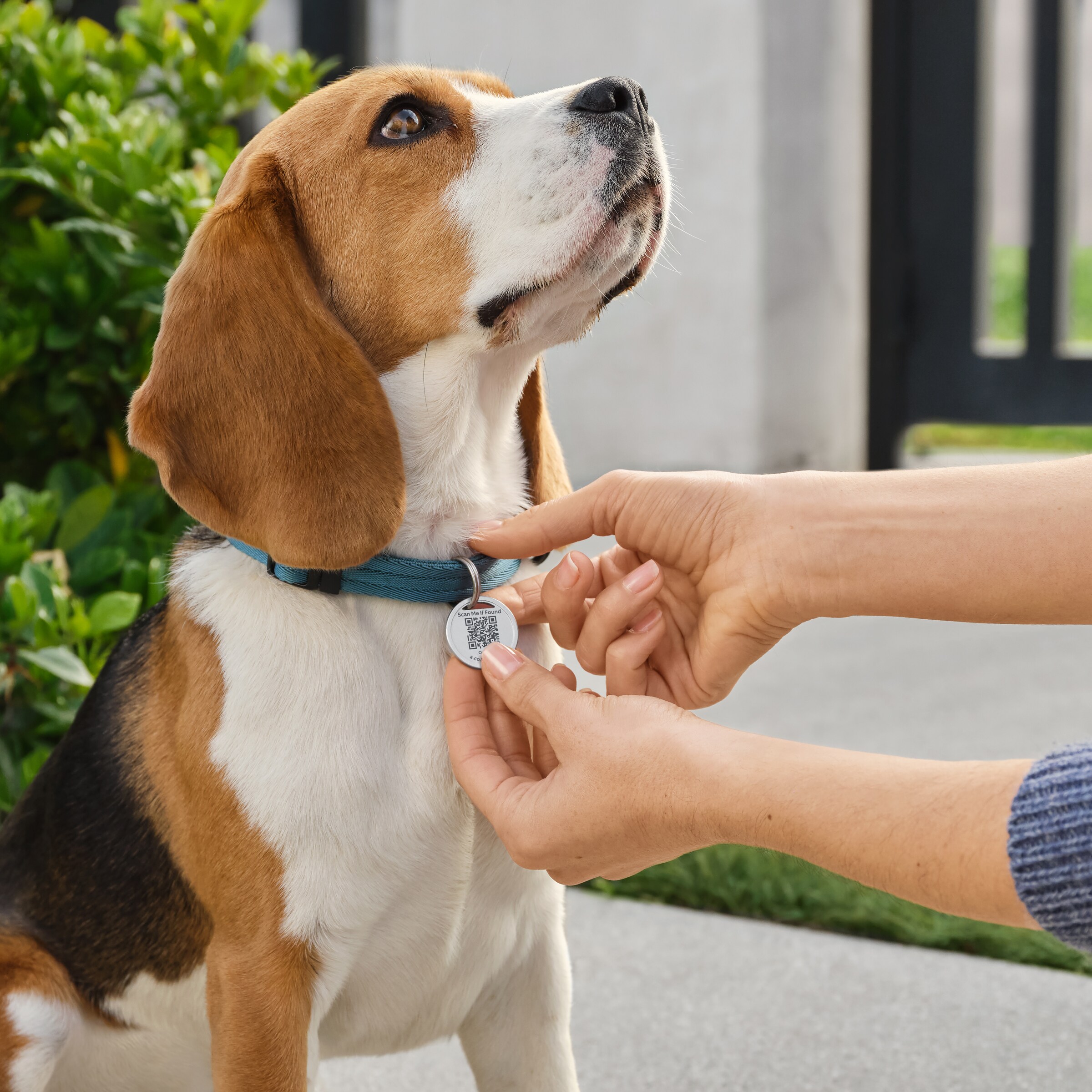  Introducing Ring Pet Tag, Easy-to-use tag with QR code, Real-time scan alerts, Shareable Pet Profile