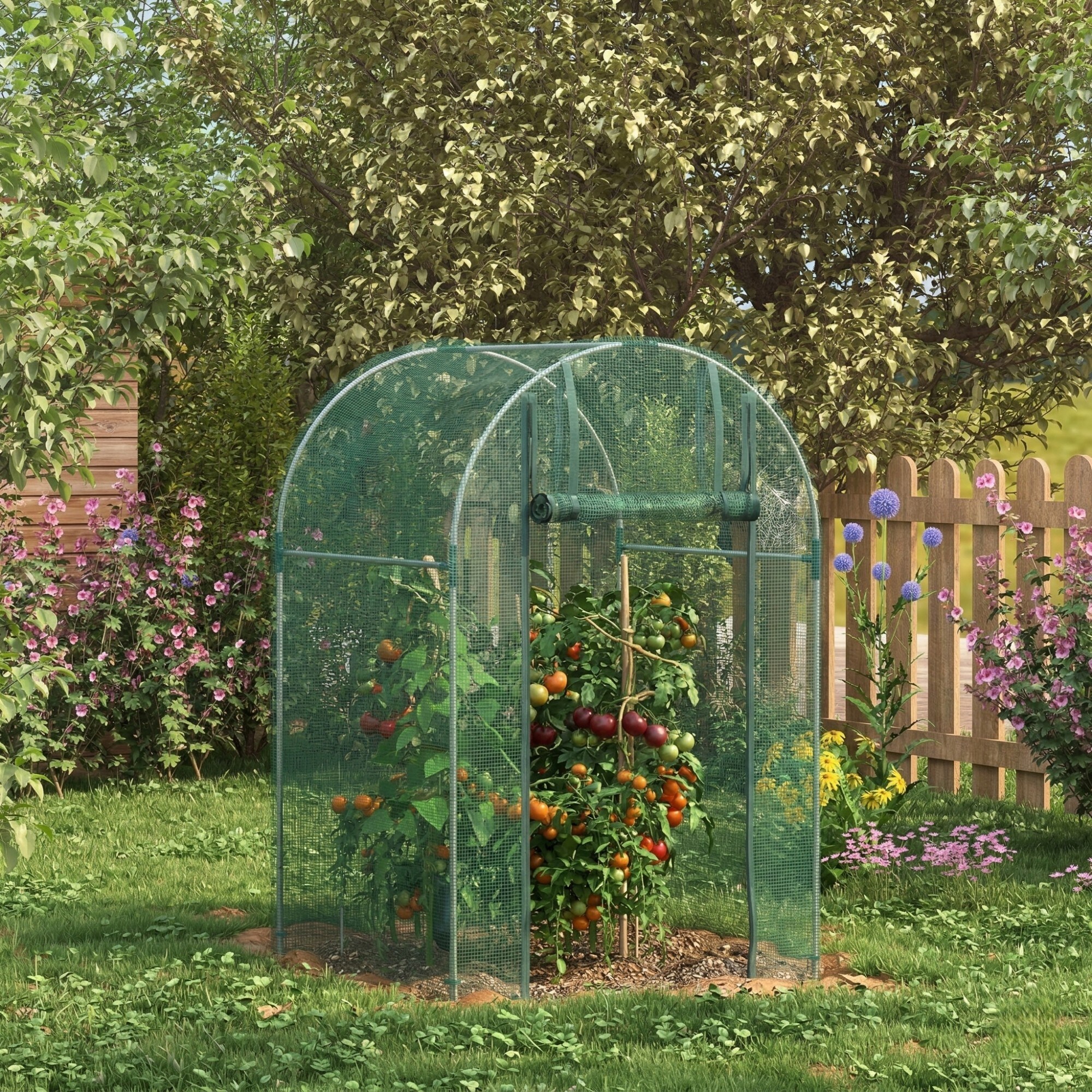 Numhew NHMAX16748 Tomato-Cages - View #9