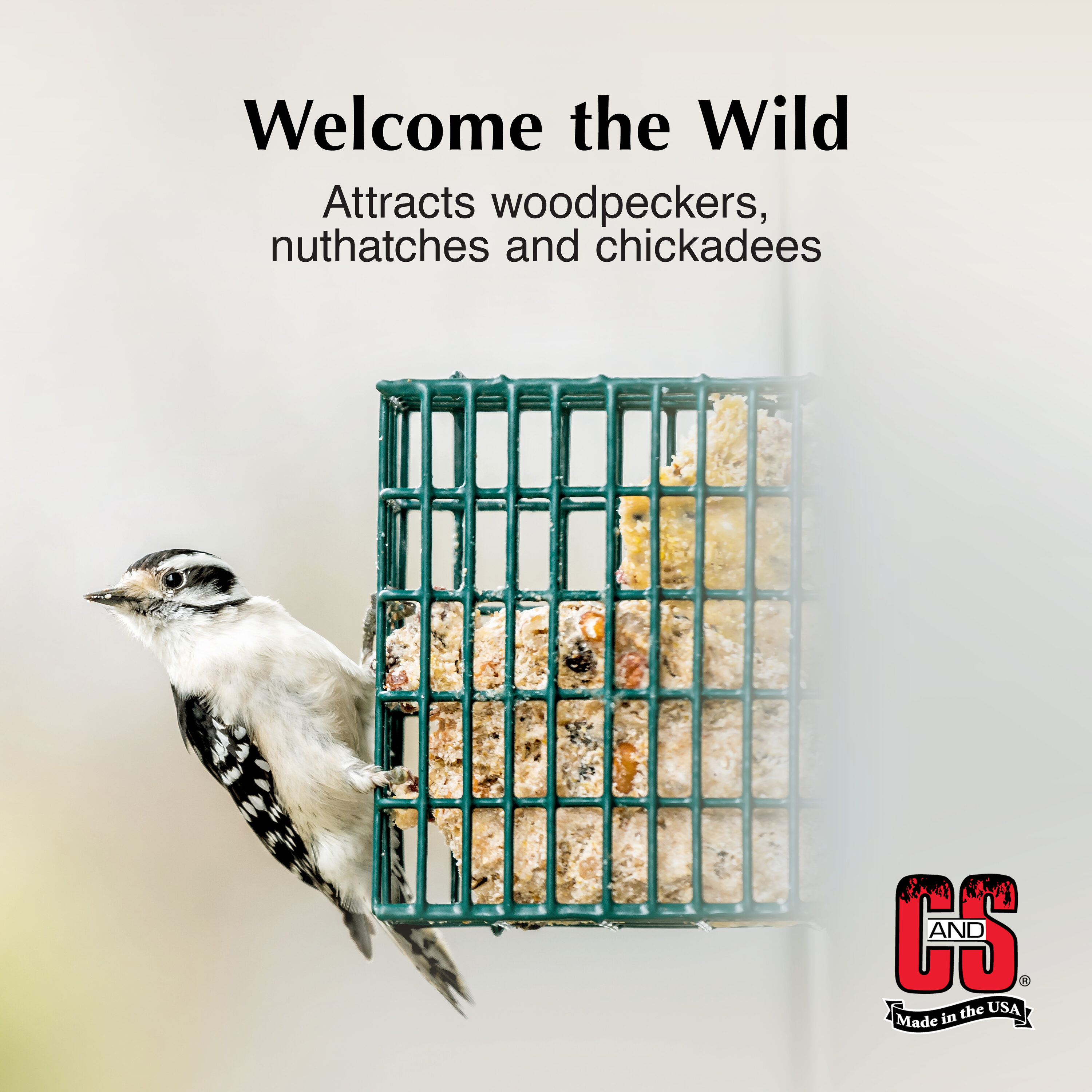 C&S 100214412 Bird-Squirrel-Food - View #4