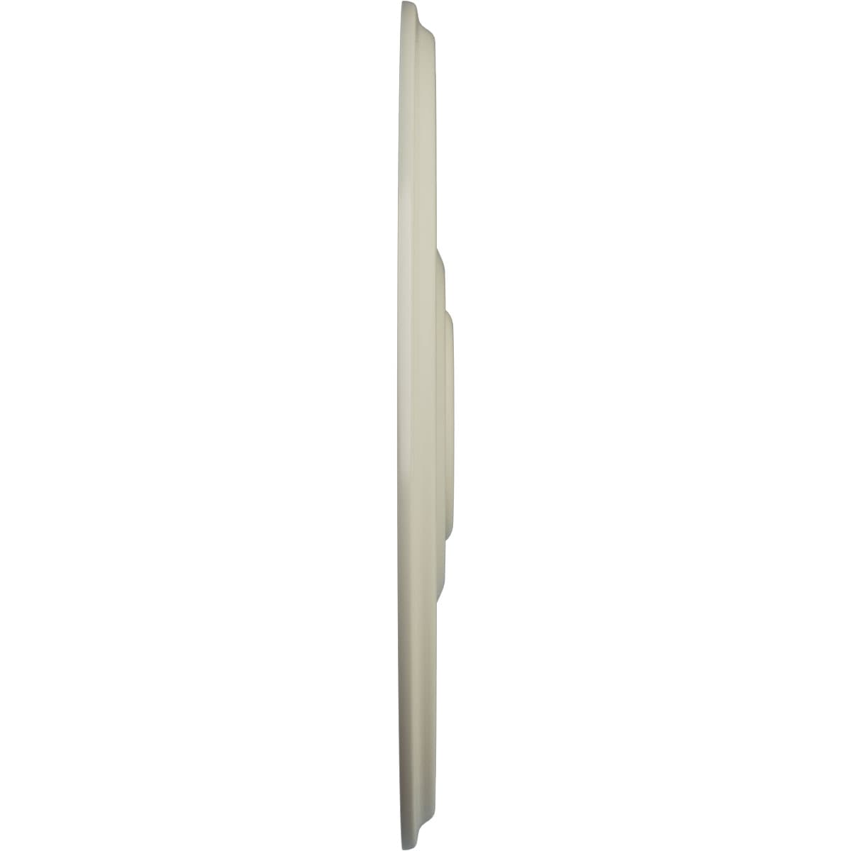 Ekena Millwork CM21RECYF Ceiling-Medallions - View #3