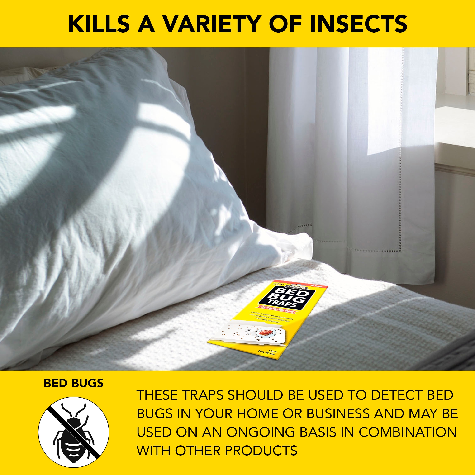 How To Find Out If You Have Bed Bugs Discreetly - Surge Protector Bed Bug  Trap Review 