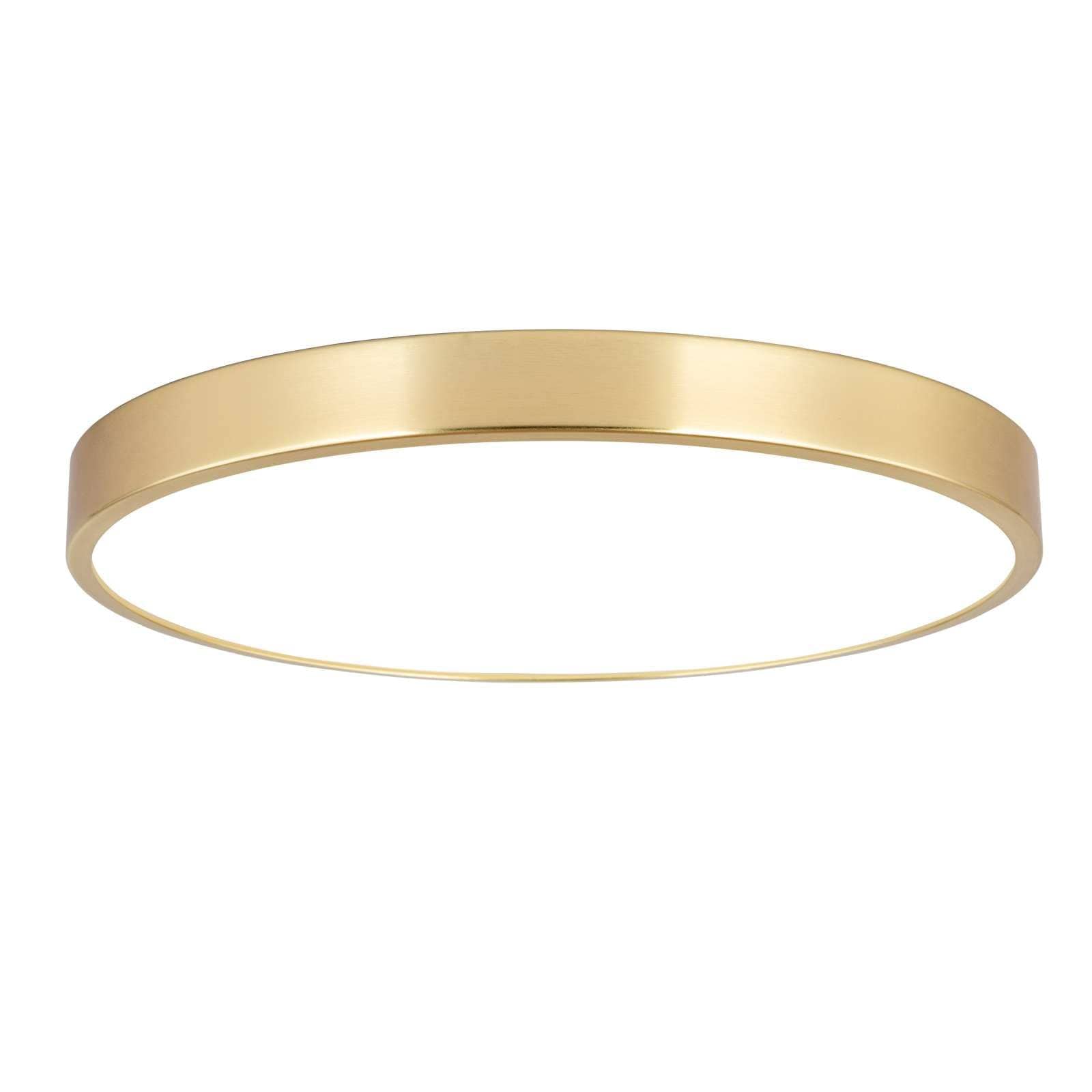 Phewnyzo  12 Inch Brushed Gold LED Flush Mount Ceiling Light Modern Low Profile Fixture Adjustable Color Temperature 20W for Bedroom Living Room