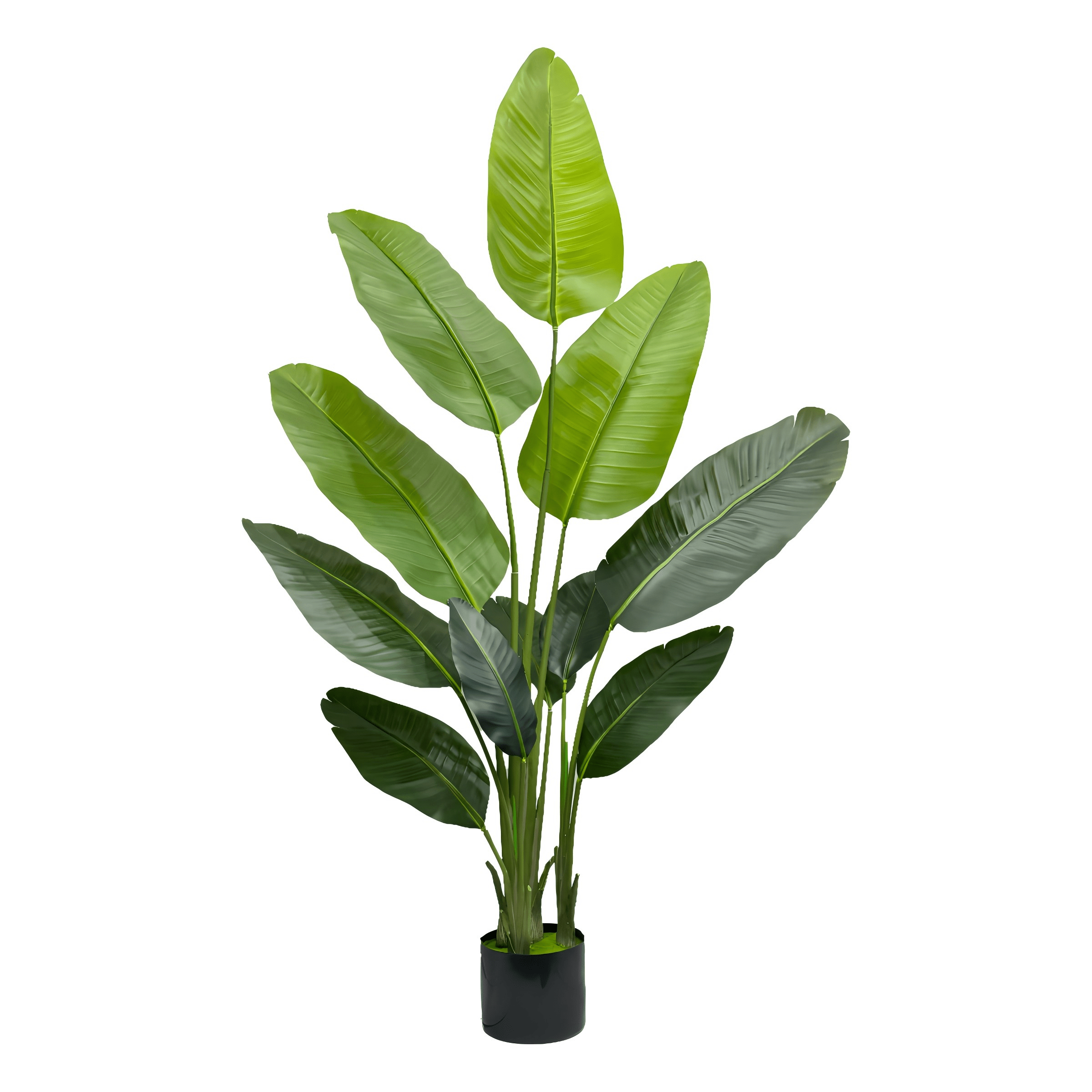 Aveyas BAPLAM180-2 Artificial-Plants-Trees - View #4