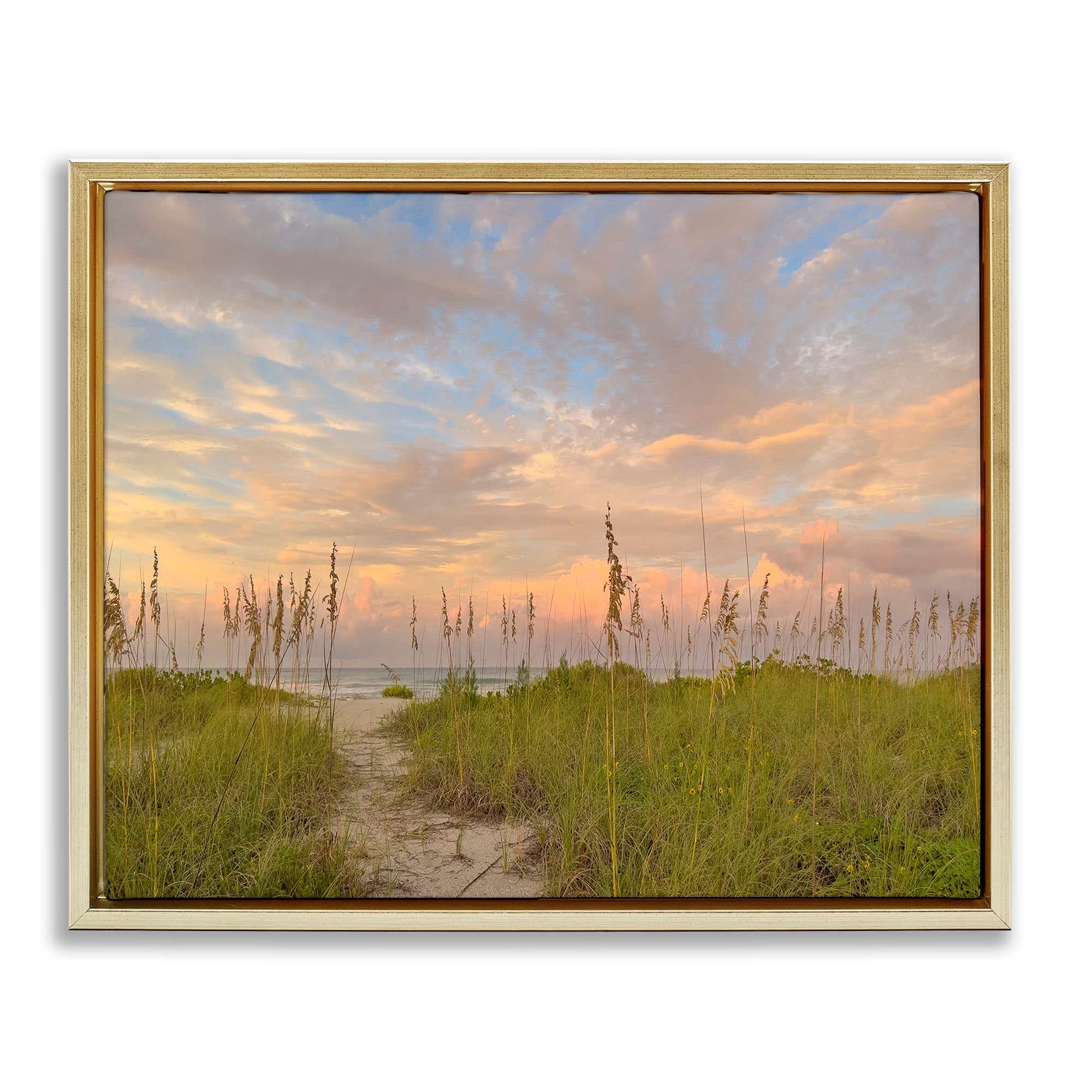 Stupell Industries Serene Coastal Path Grasses Floating
