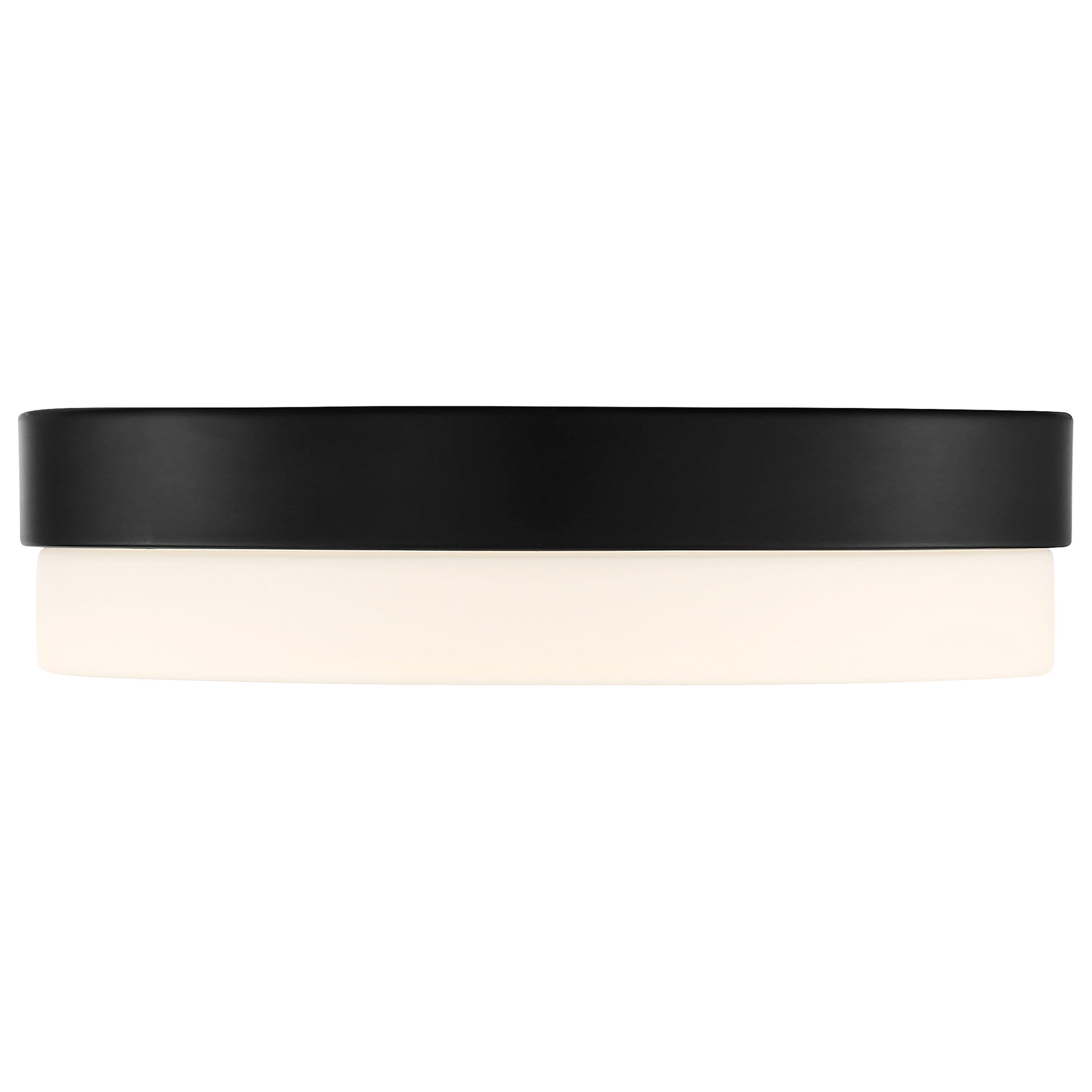 Roma Matte Black and Opal Glass LED Flush Mount Light