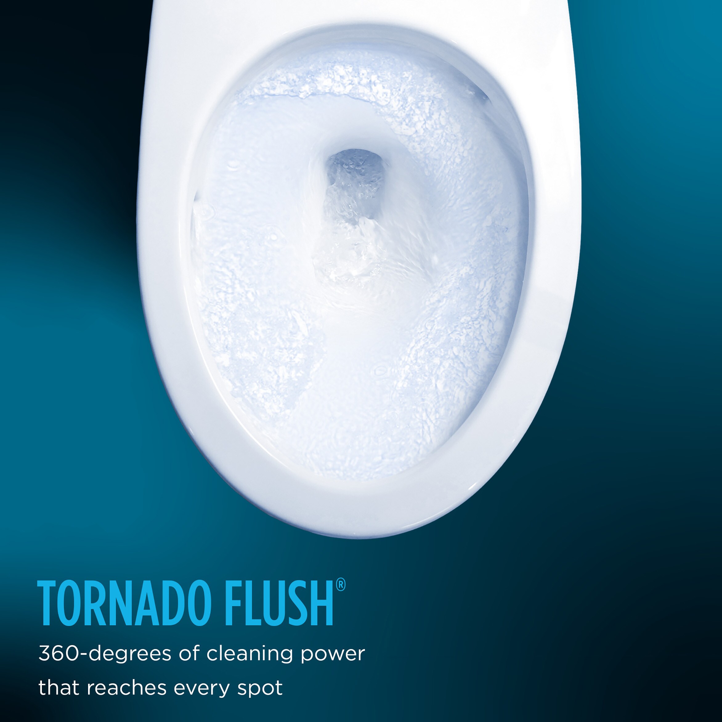 TOTO MW7764726CSFG-01 bidets - View #4