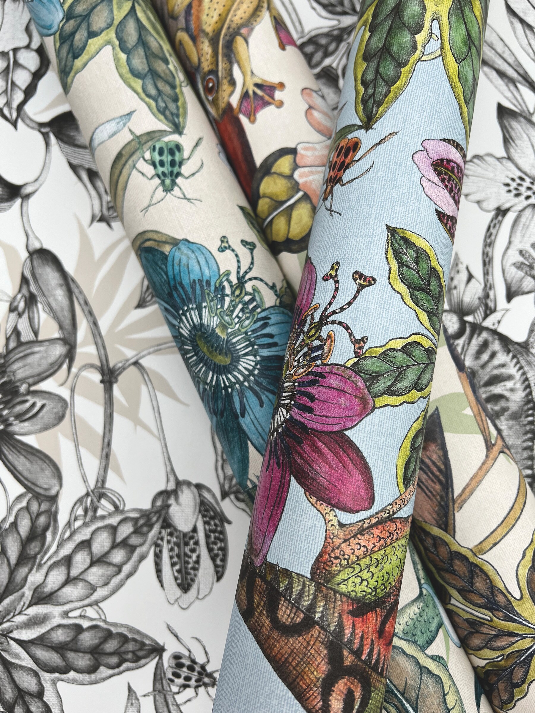 York Wallcoverings BL1701 wallpaper - View #2