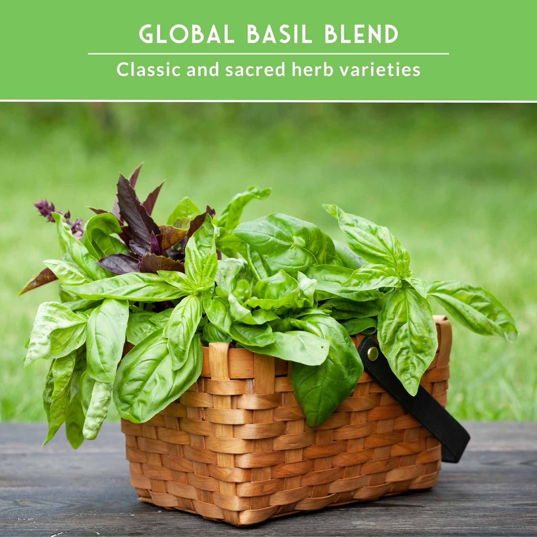 Survival Garden Seeds BASILCOLLECTION Vegetable-Herb-Seeds - View #4