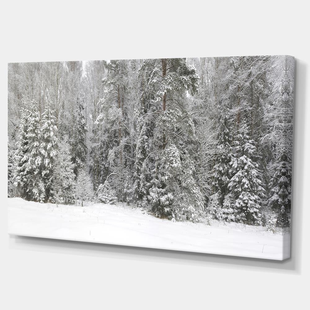 Designart PT15457-40-20 Wall-Art - View #2