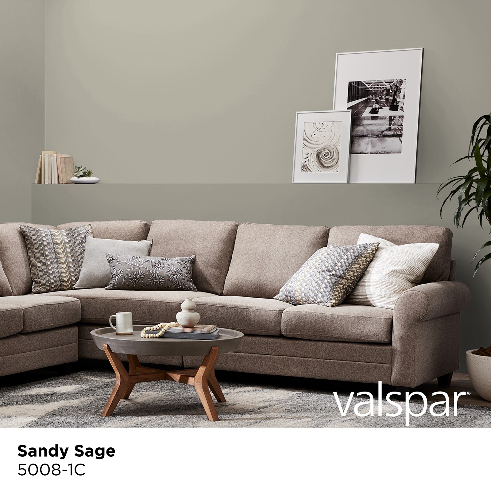 Valspar 5008-1C-2916586 Int-Ext-Paint - View #2