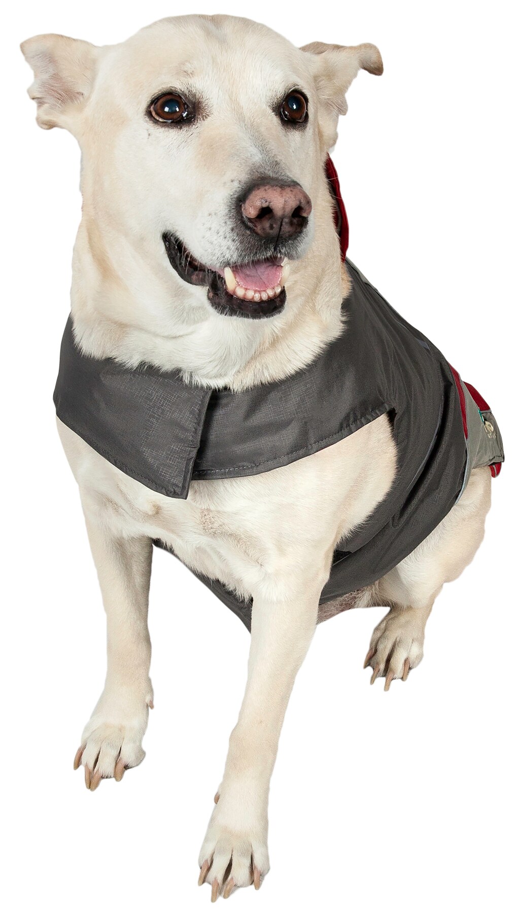 Dog Helios JKHLRDXL Dog-Apparel - View #3