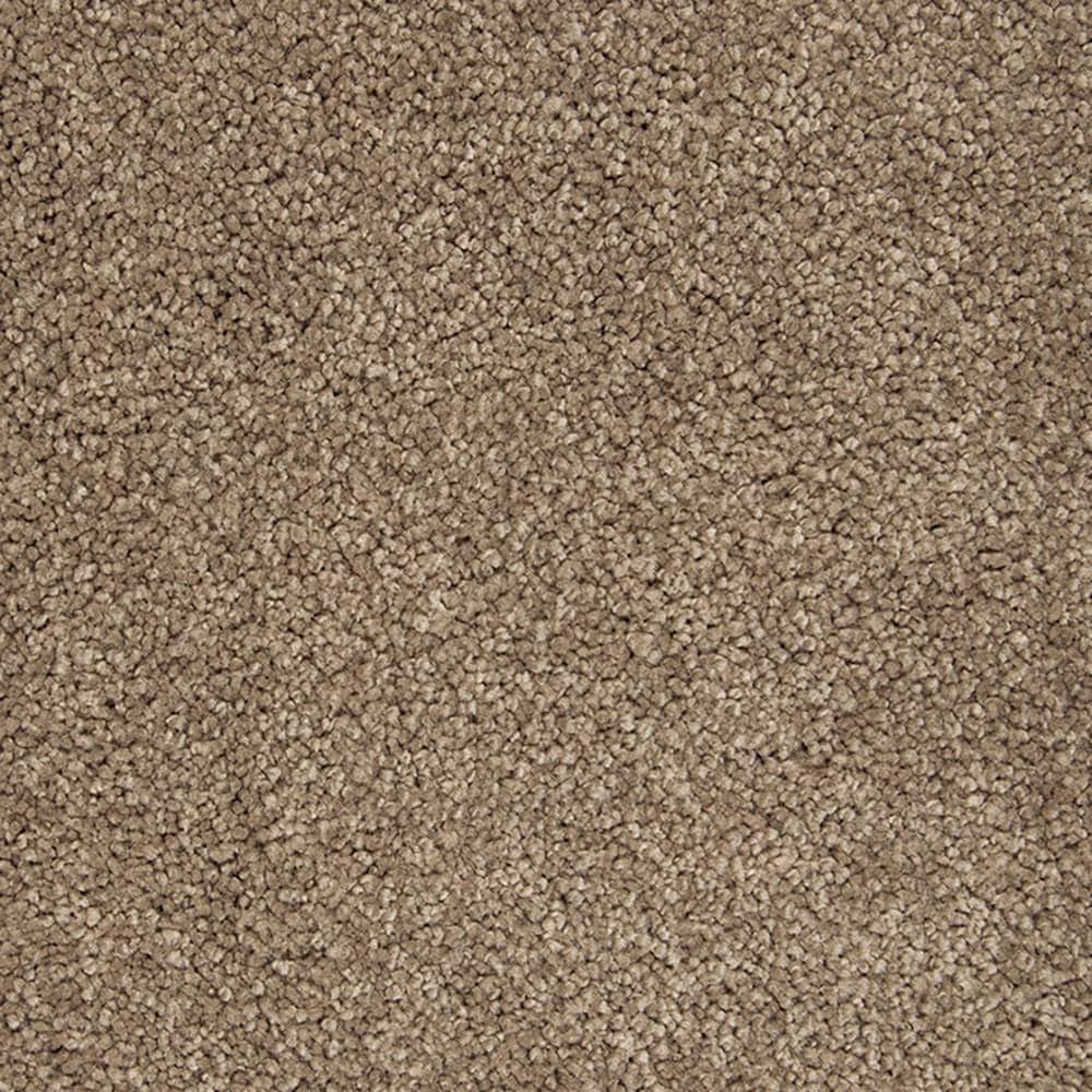 STAINMASTER PetProtect STP55-L021-0808 (Sample) Purrfectly Pampered Midsummer Lights Brown 60-oz sq yard Triexta Textured Indoor Carpet