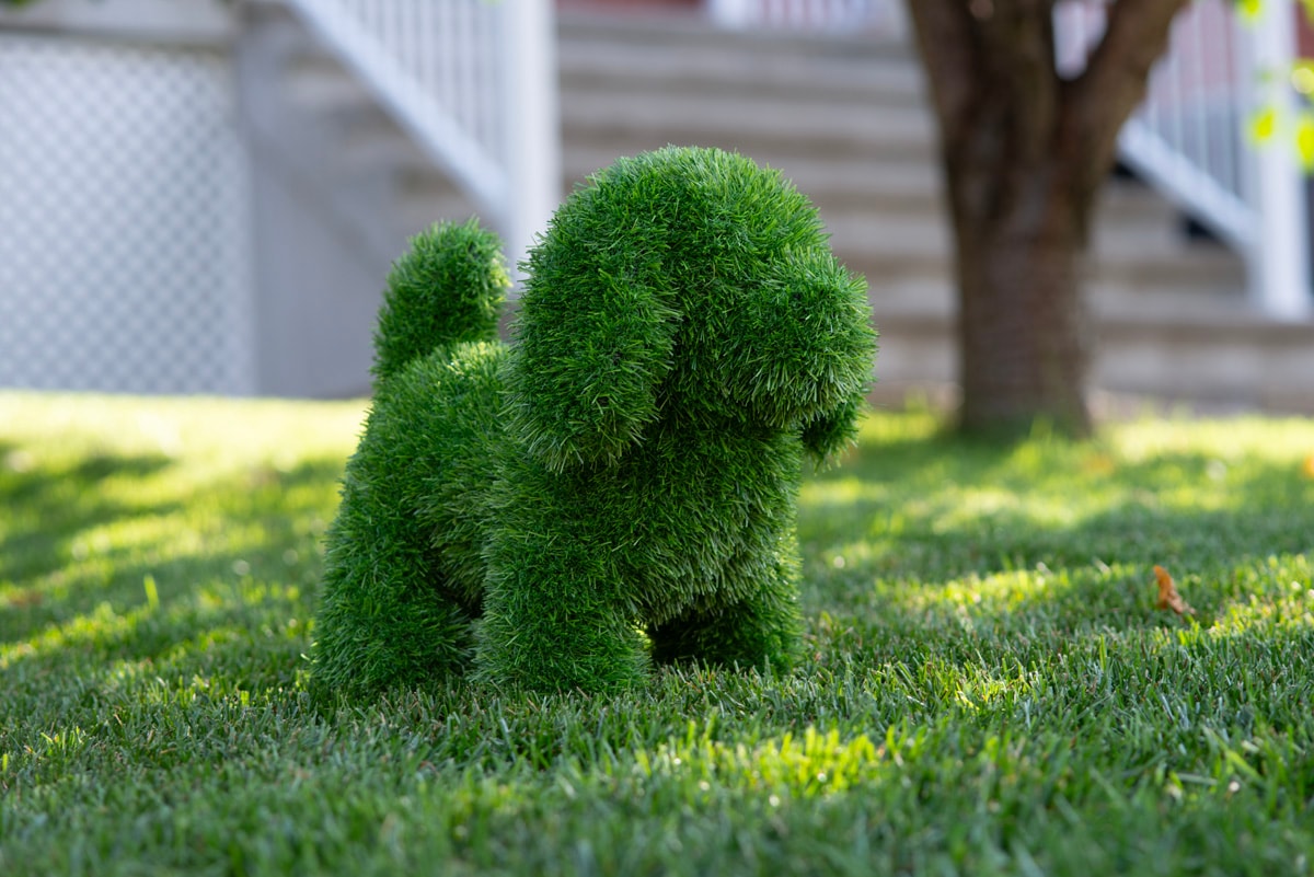 Naturae Decor 13-in H x 9.1-in W Green Dog Garden Statue | PLU-21008