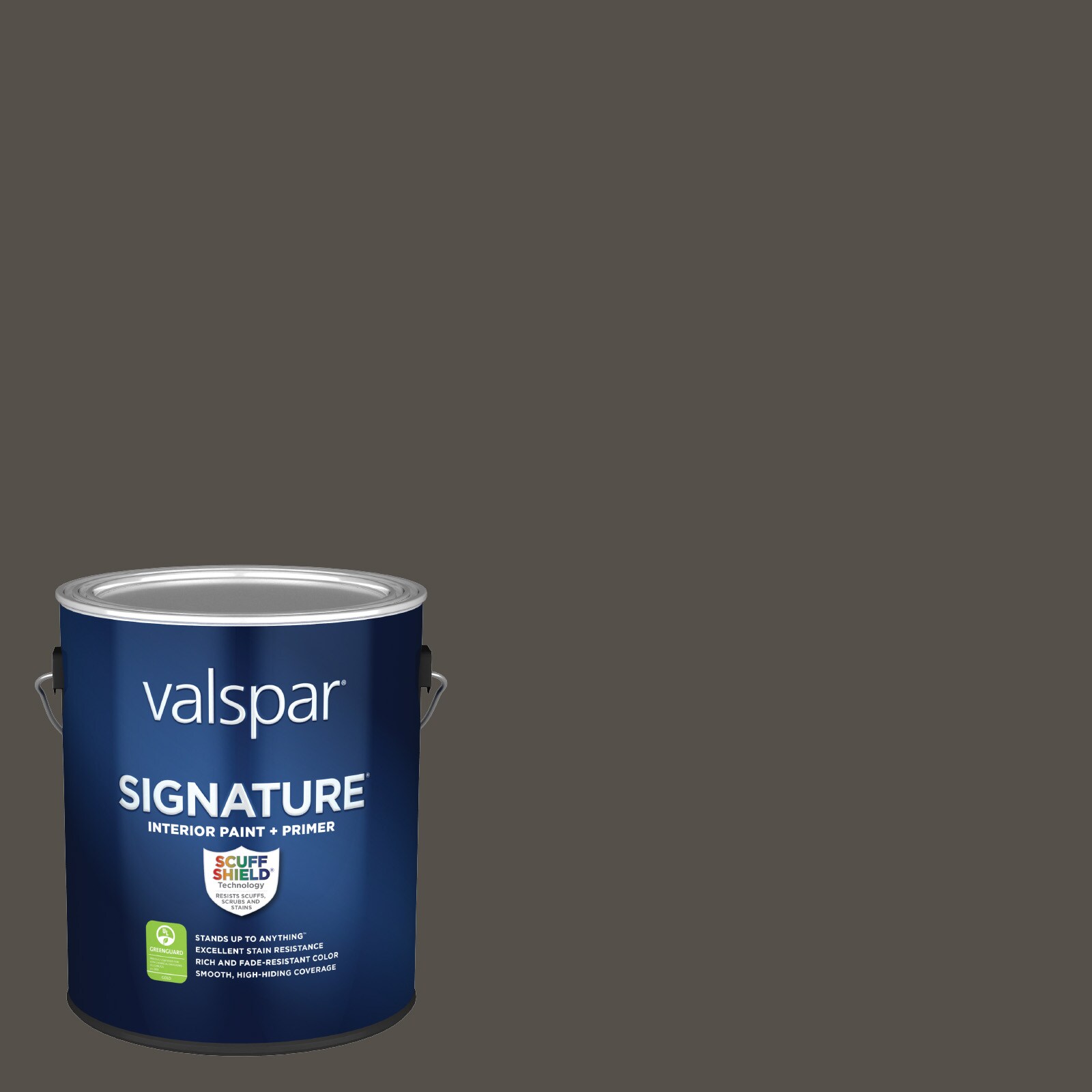 Valspar Flat Alabaster Stone Sandstone Spray Paint and Primer In One (NET  WT. 12-oz) at