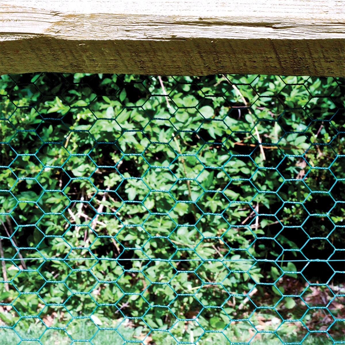 Tenax Plastic Poultry Fence Lightweight Garden Netting, 2' x 25' Roll,  Black, 1 Piece - Kroger