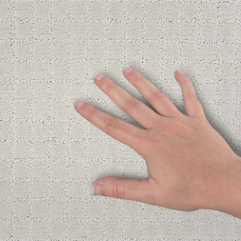 Style Selections SS032-L001-0808 Carpet-Samples - View #4