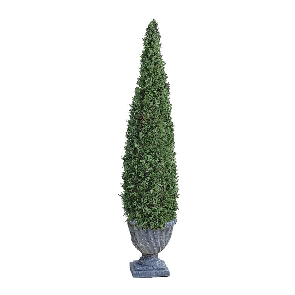 60-in Green Indoor/Outdoor Artificial Boxwood Artificial Tree | - Design Toscano SE11158