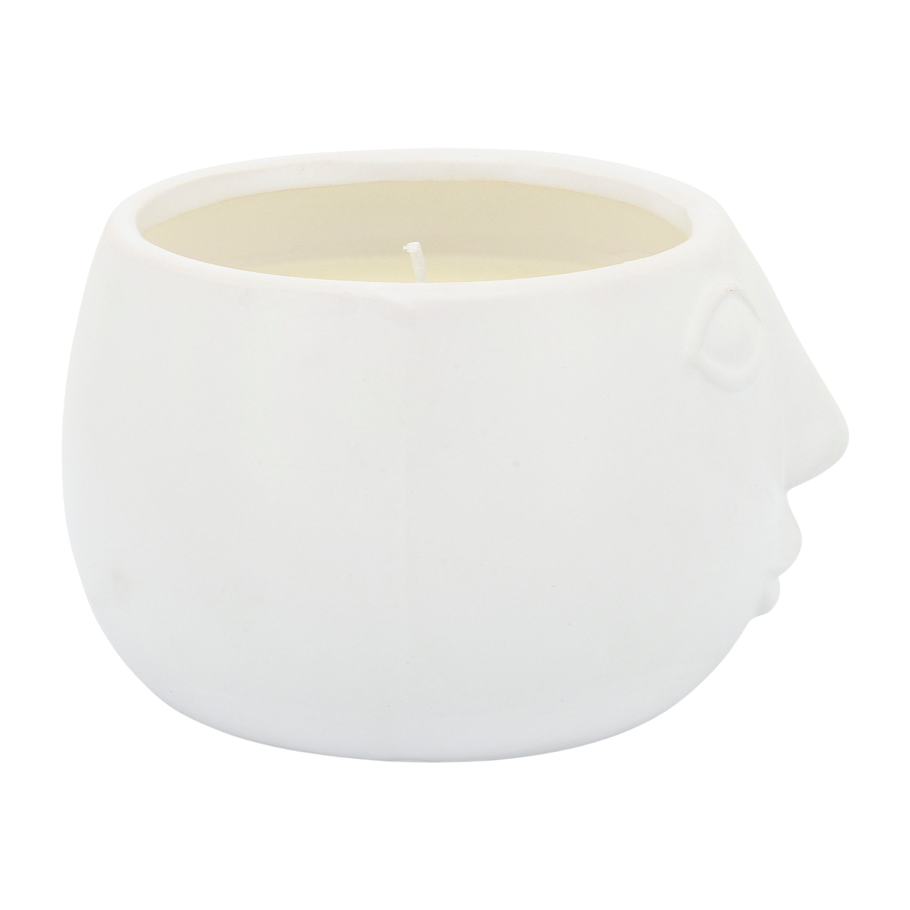 Sagebrook Home 80029-02 Citronella-Candles - View #2