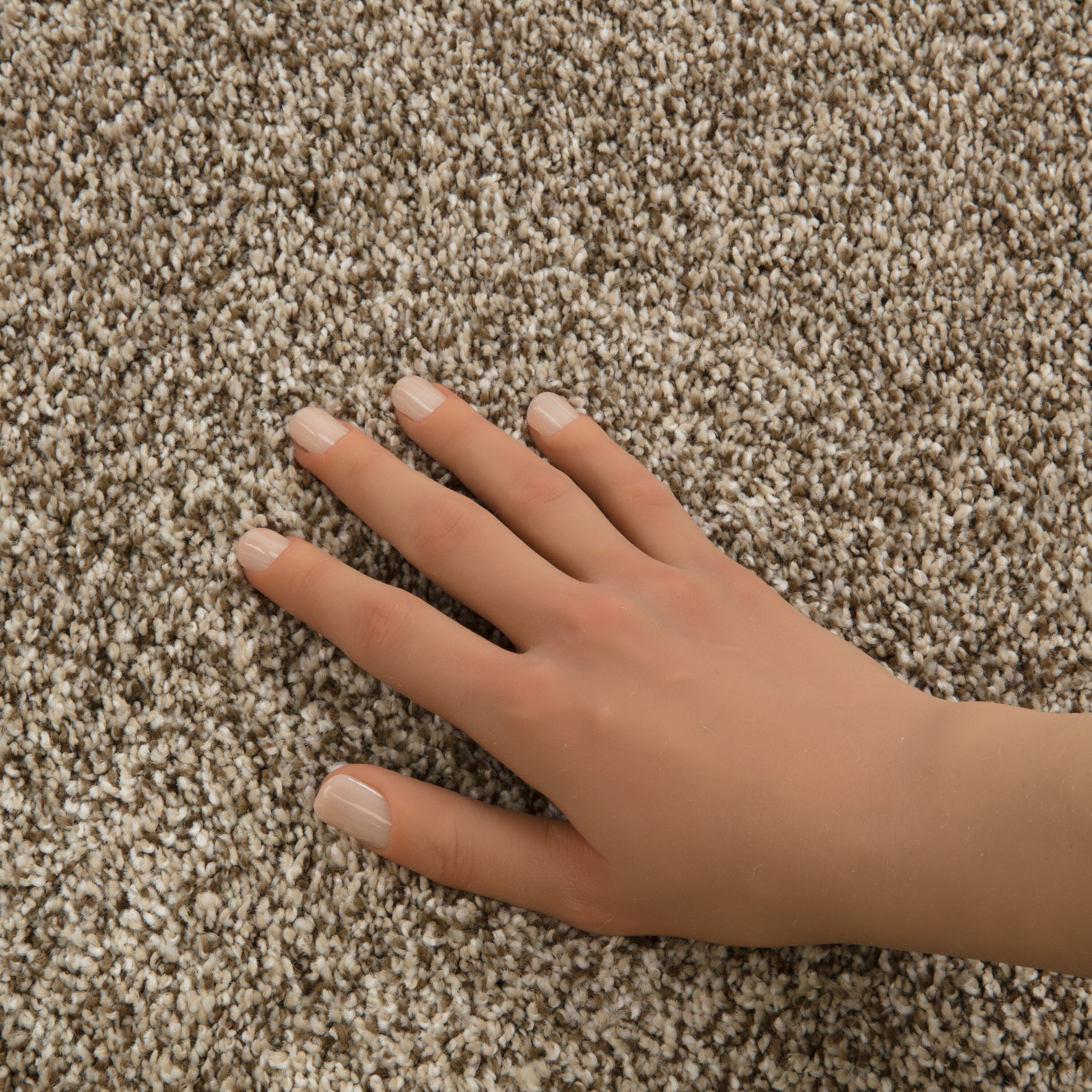 STAINMASTER PetProtect 7L993-133-SAMP Carpet-Samples - View #7