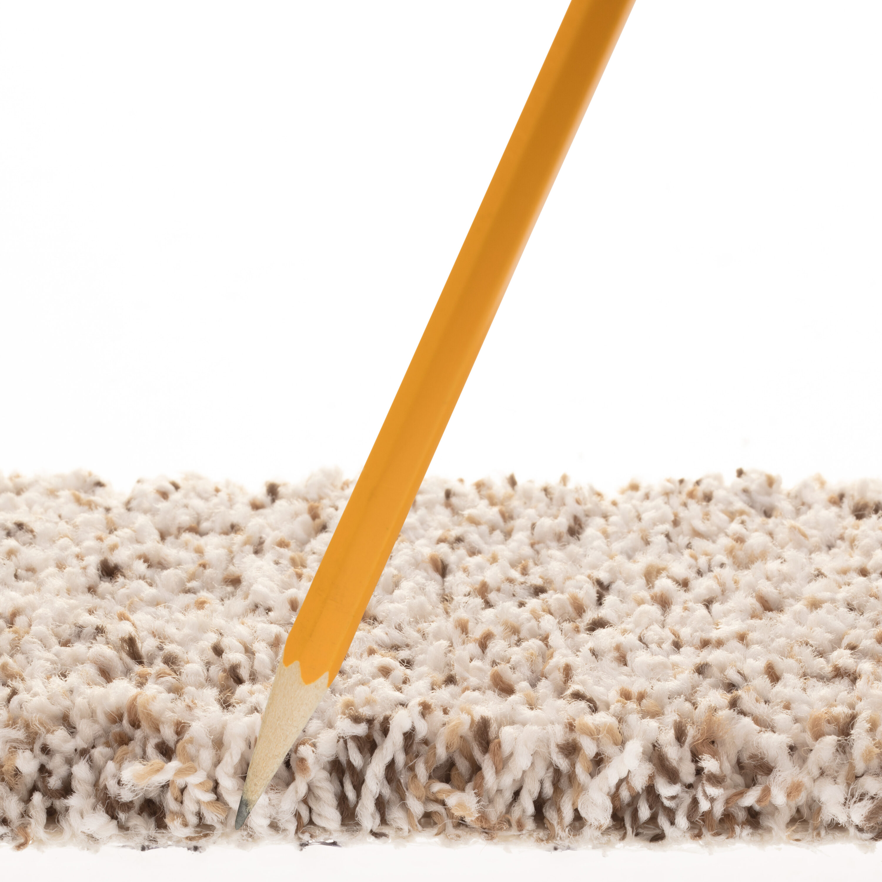 STAINMASTER 7L909 - 170 - SAMP Carpet-Samples - View #7