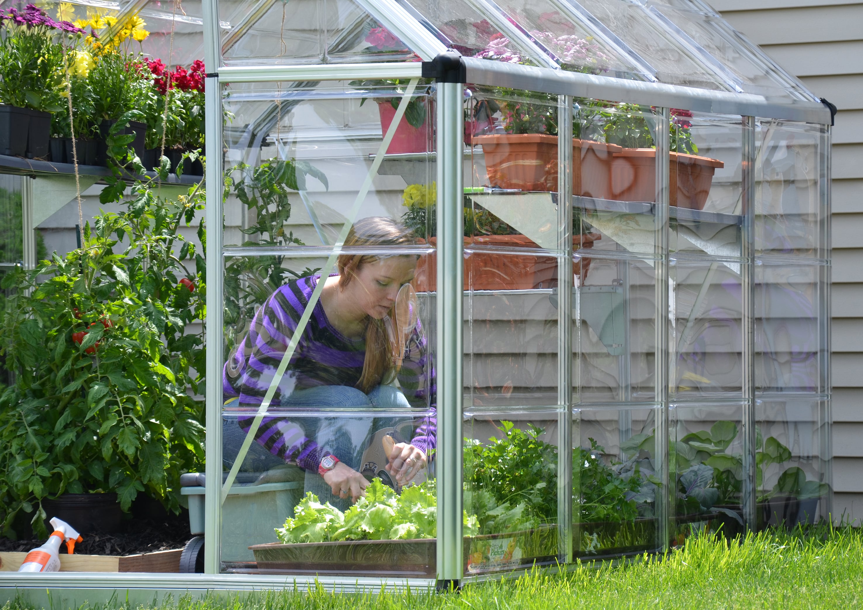 Canopia by Palram 701273 greenhouses - View #3