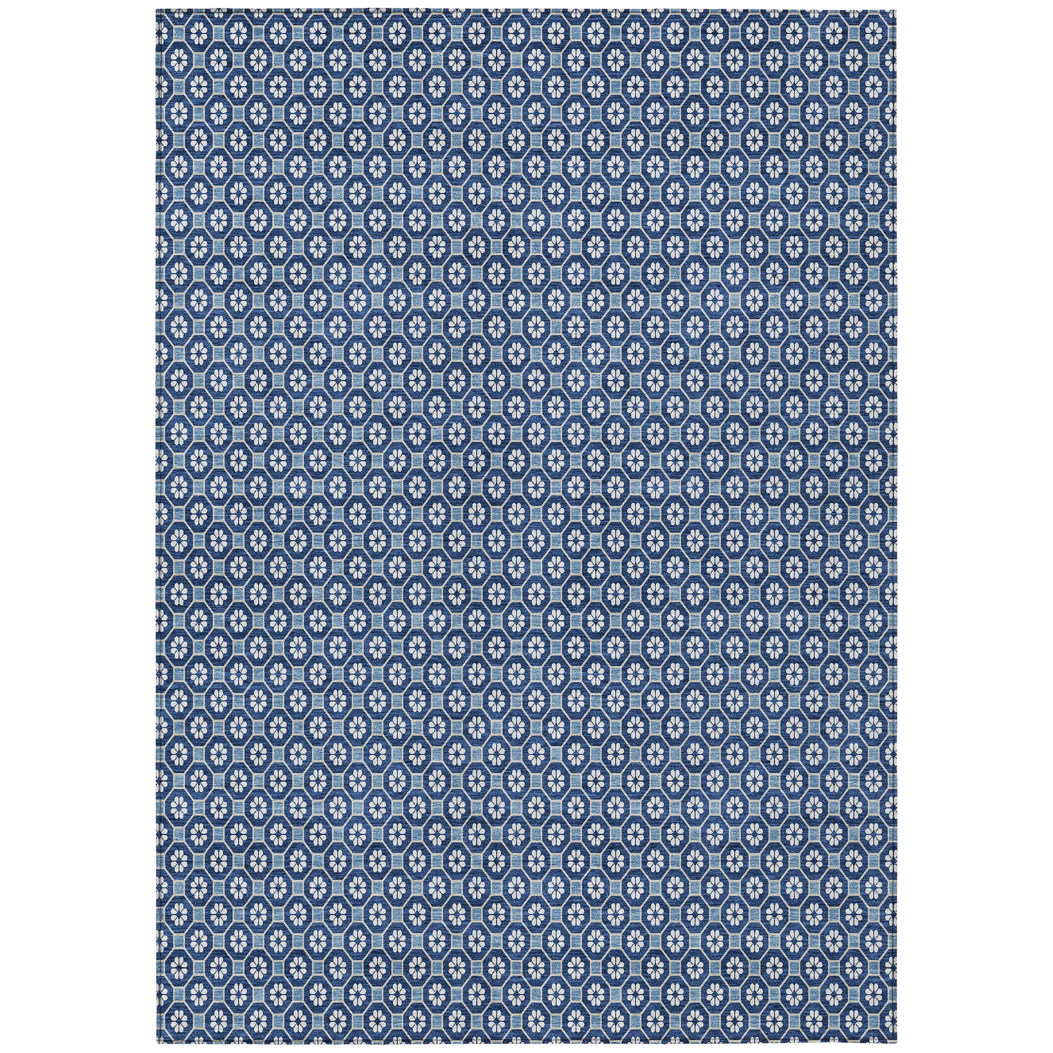 Addison Rugs ACN1430BU5X8 rugs - View #2
