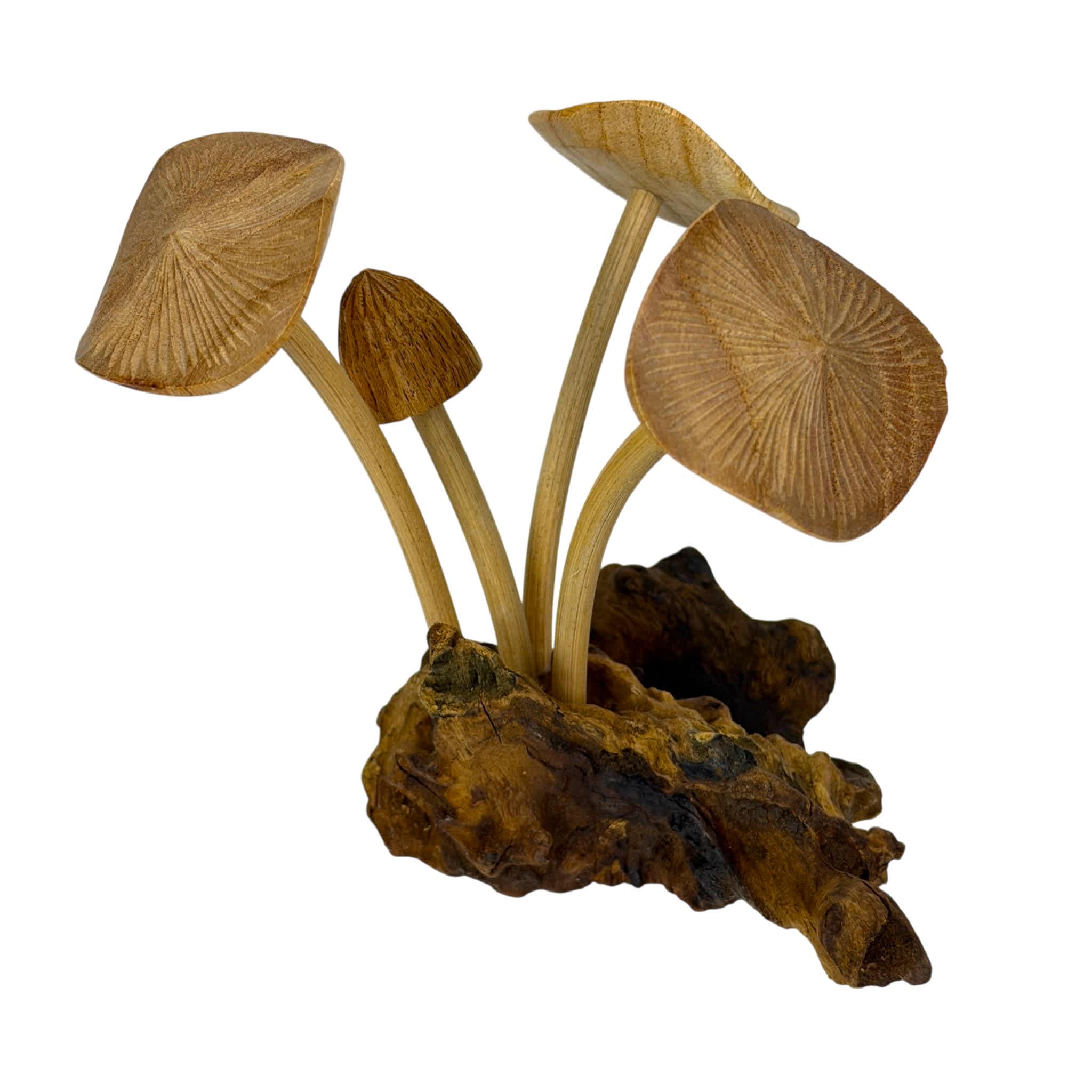 Things2Die4 MUSH-52 Decorative-Accessories - View #2