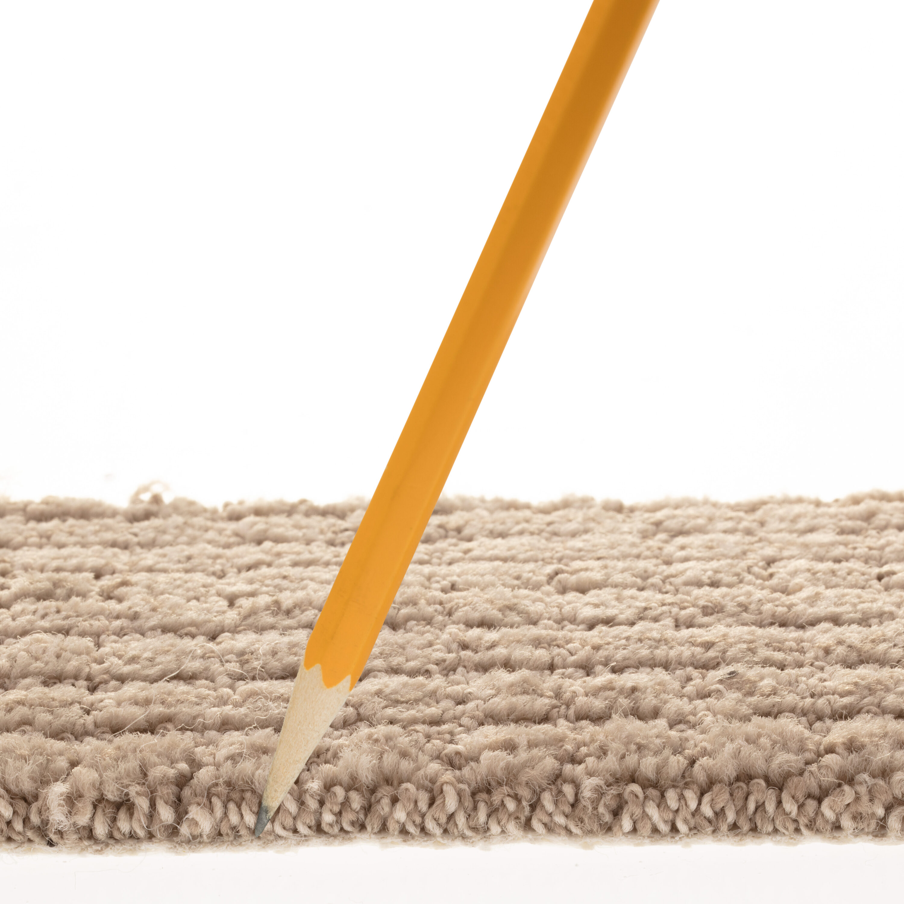 STAINMASTER PetProtect 7L88500701 Carpet-Panel - View #7
