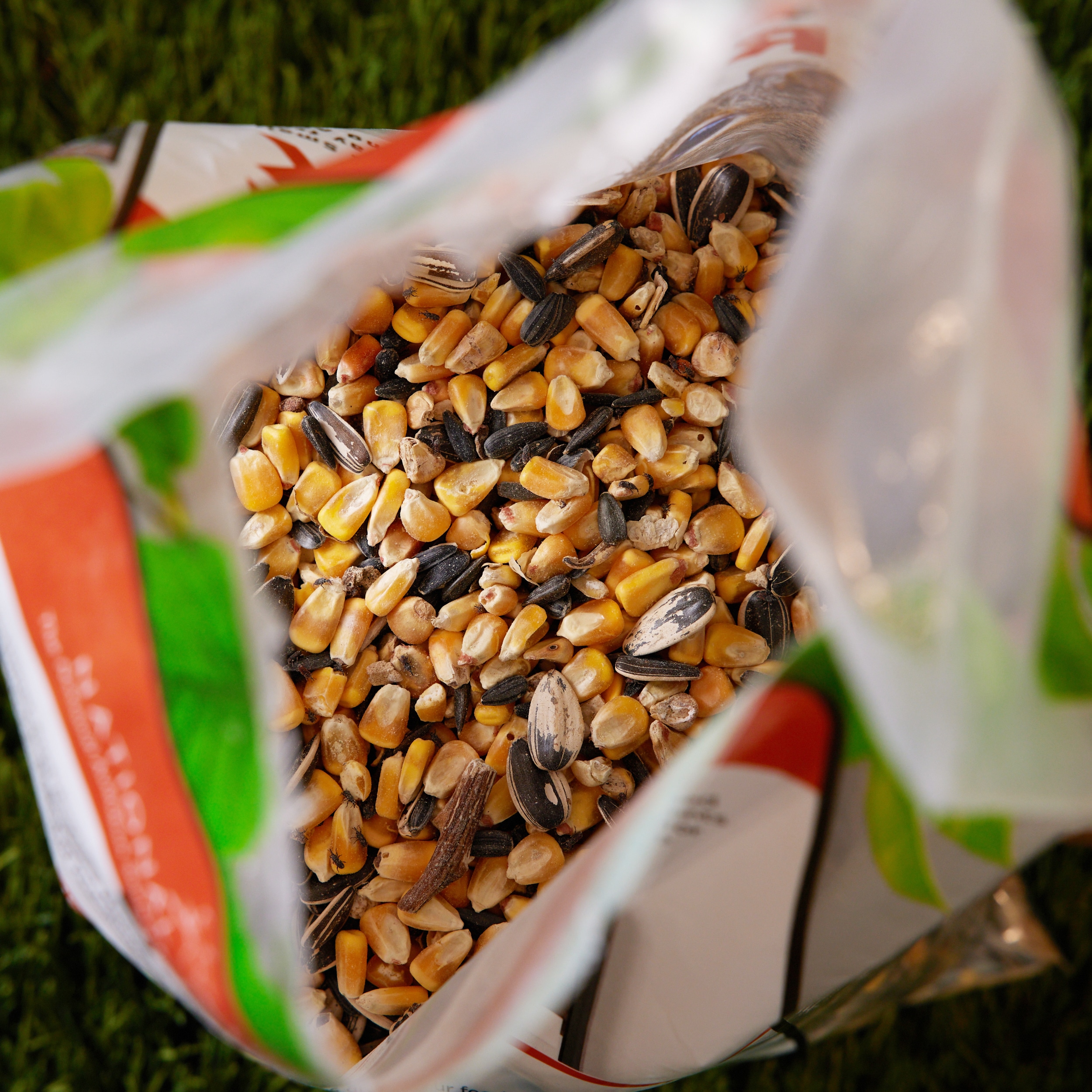 National Audubon Society 009469 Bird-Squirrel-Food - View #5